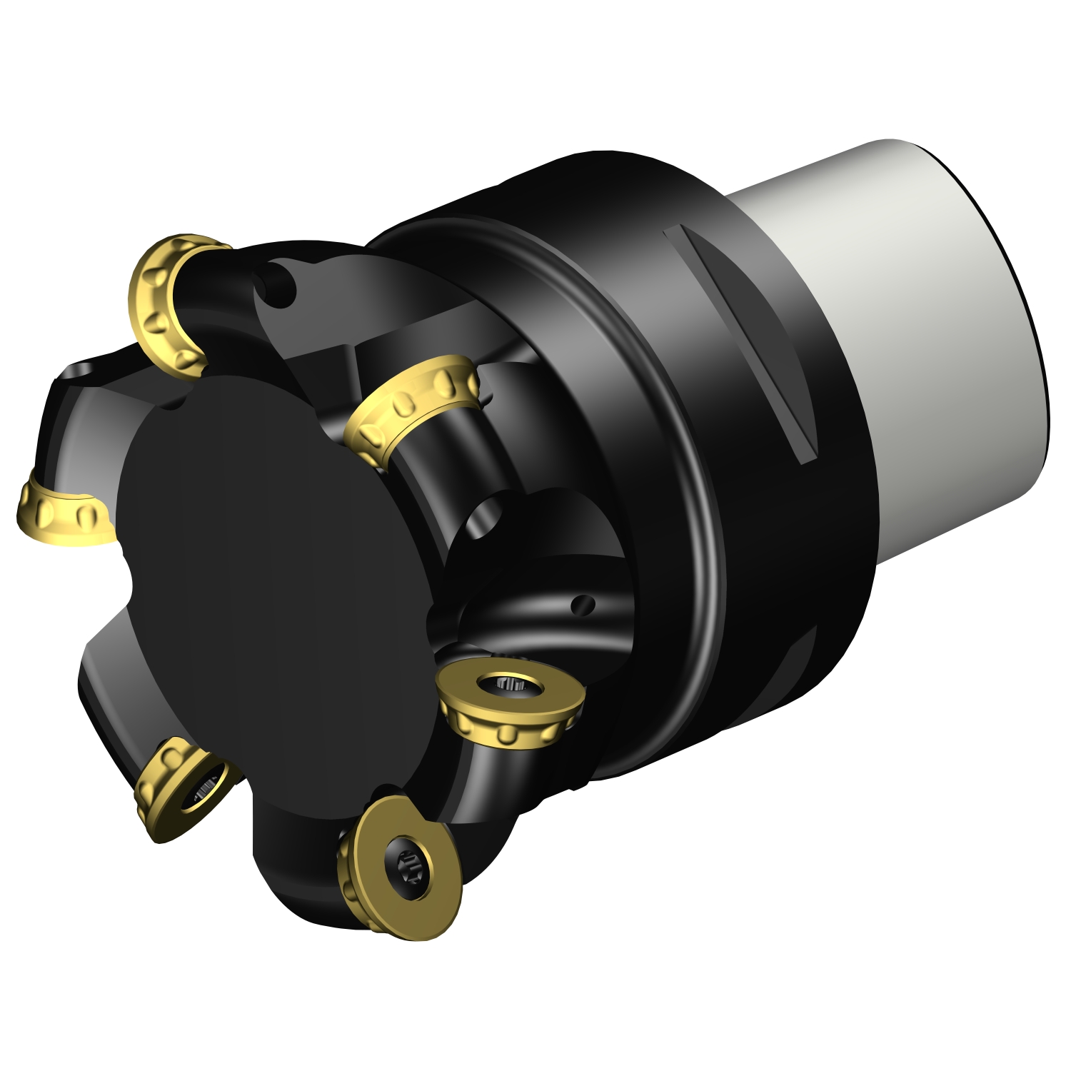R300-100C8-20M CoroMill® 300 face milling cutter