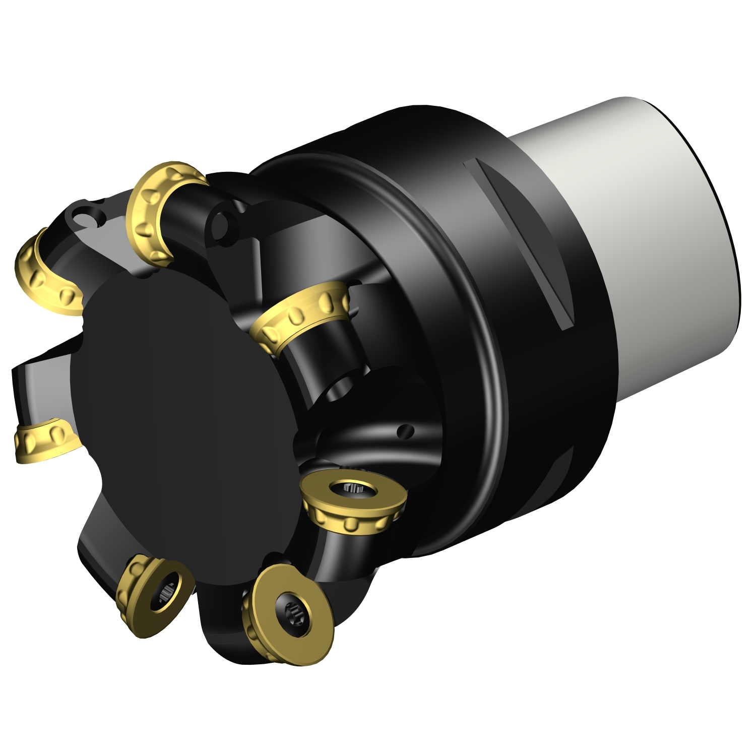 R300-100C8-20H CoroMill® 300 face milling cutter