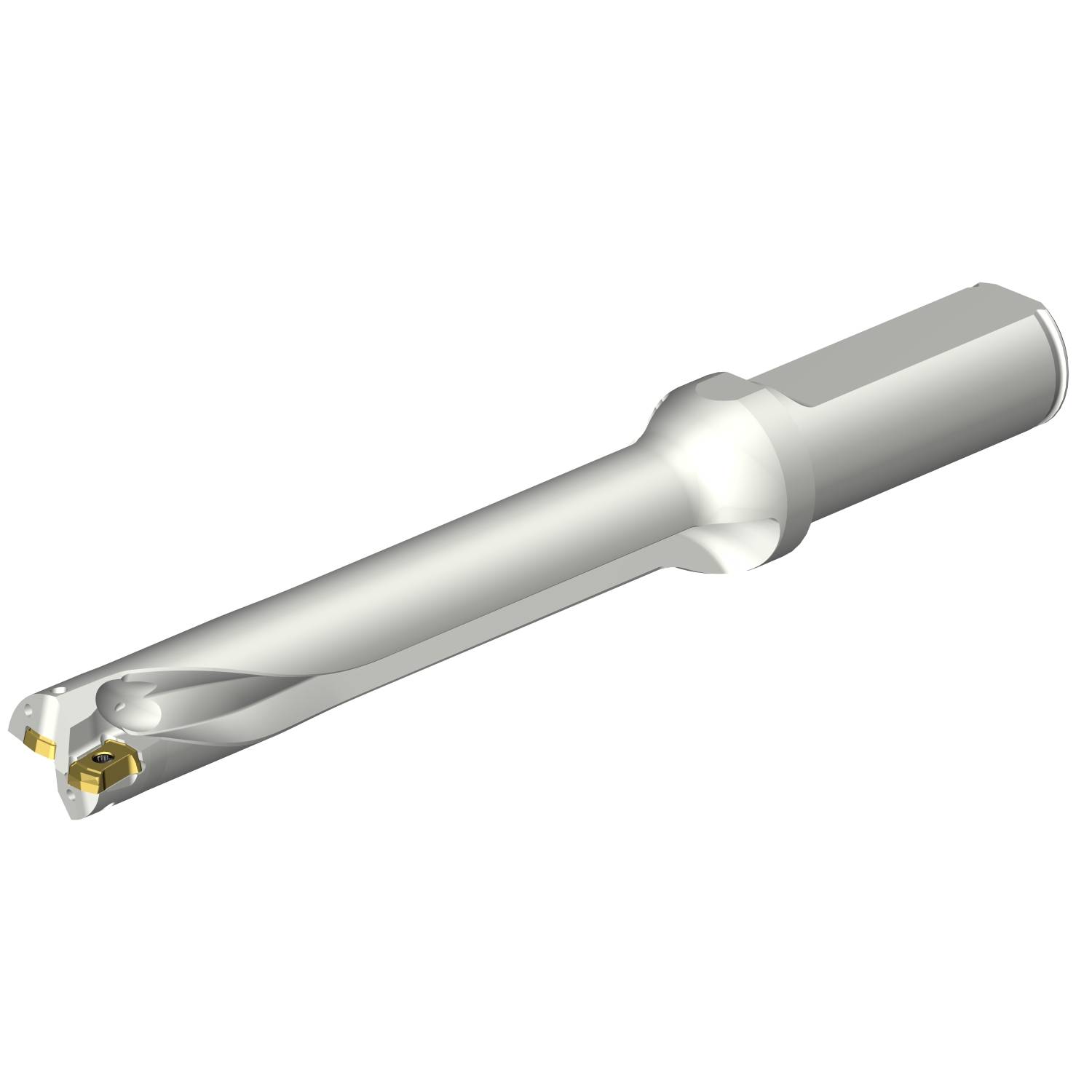 DS20-D1700L20-06  CoroDrill® DS20 indexable insert drill