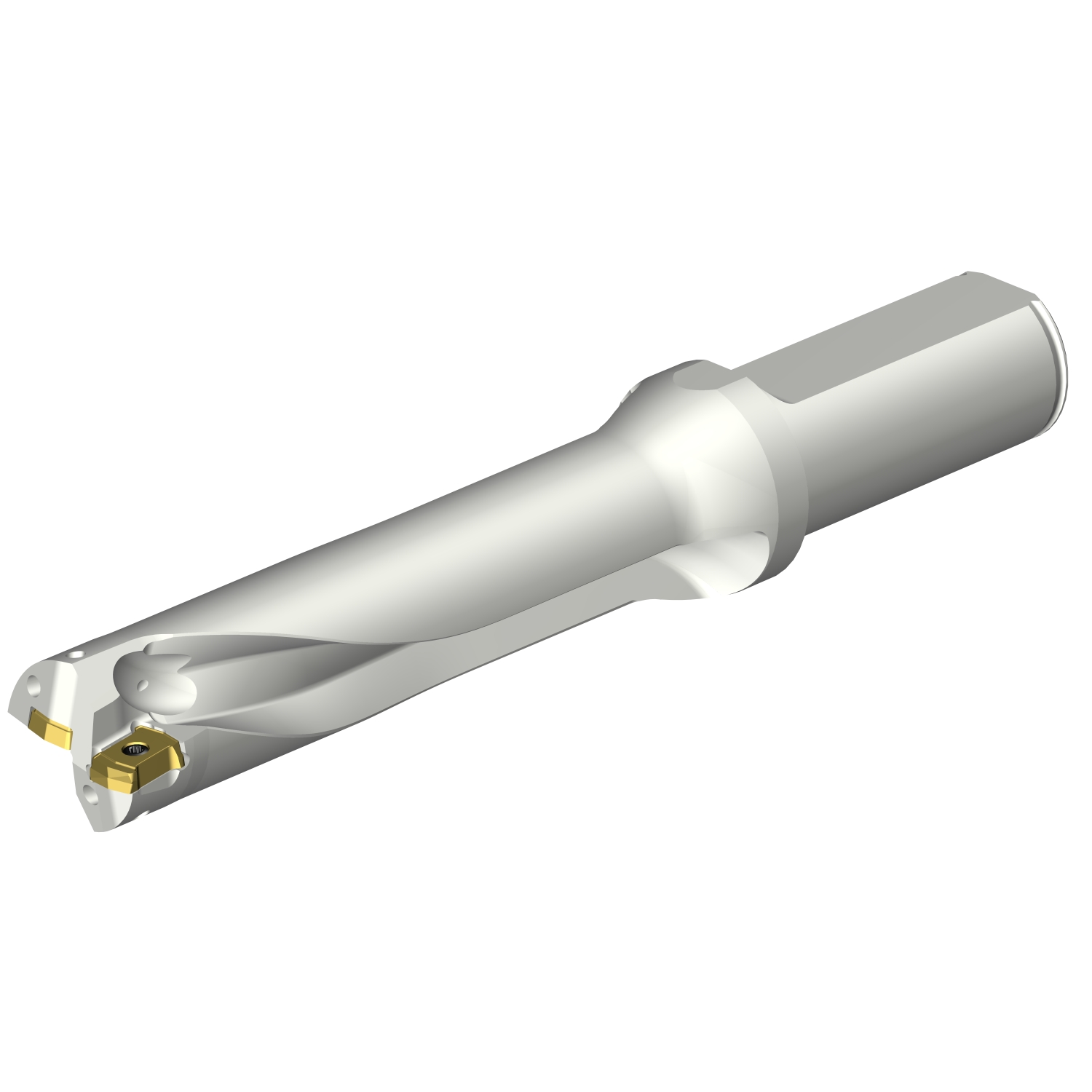 DS20-D2500L25-04  CoroDrill® DS20 indexable insert drill