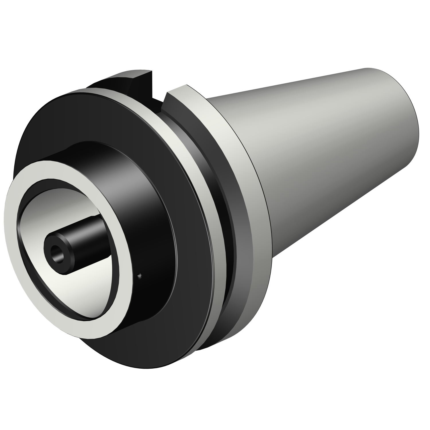 C10-390.58-60 080 MAS-BT 403 to Coromant Capto® adaptor