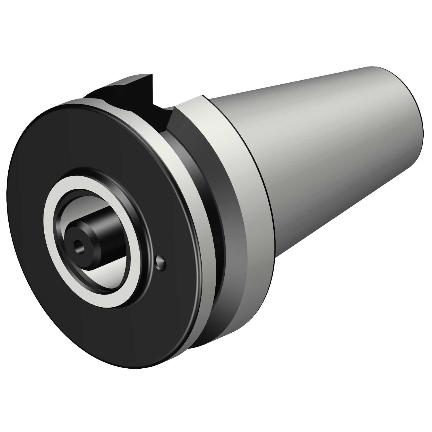 C3-390B.55-40 030 MAS-BT 403 to Coromant Capto® adaptor