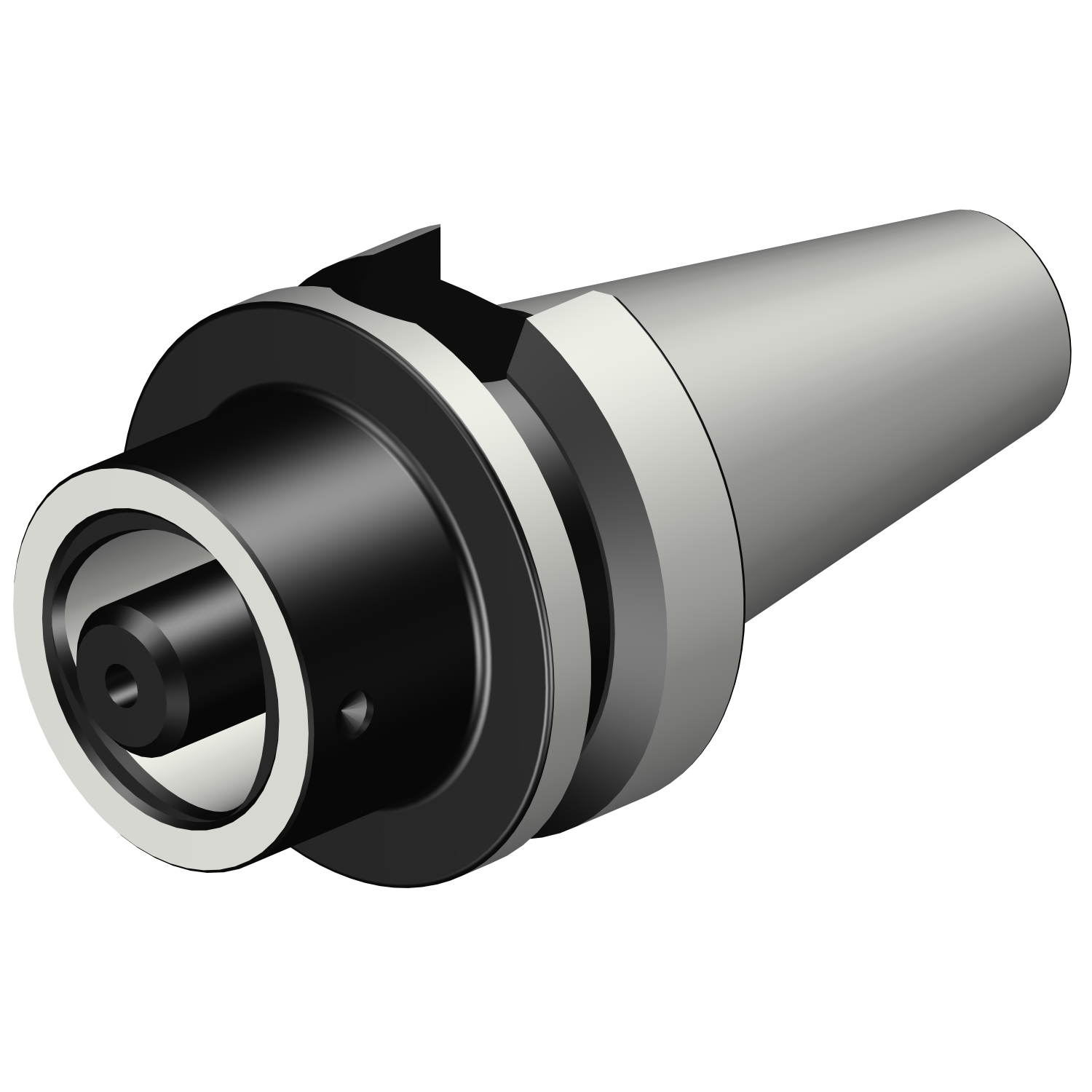 C3-390.555-30 040 BIG-PLUS MAS-BT to Coromant Capto® adaptor