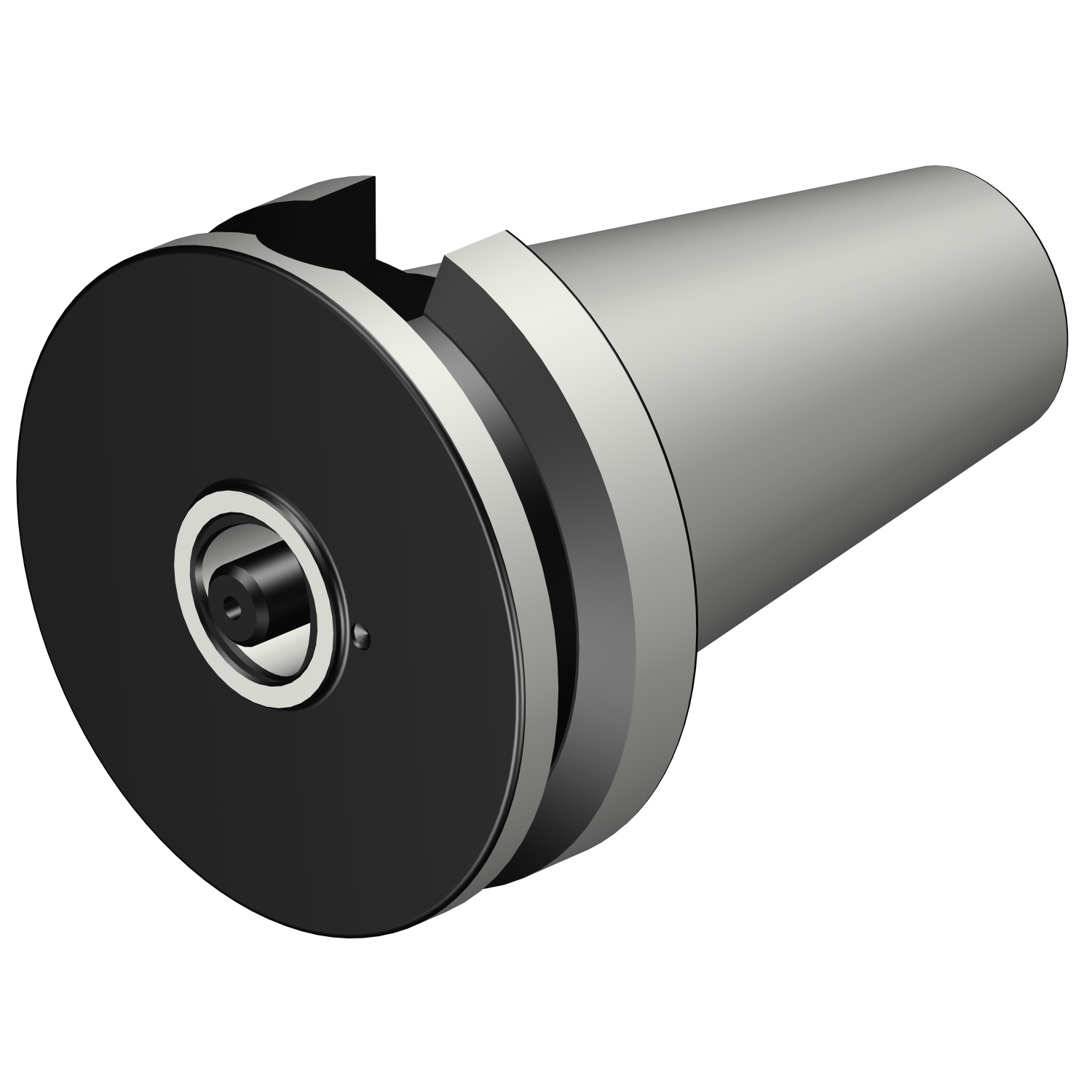C3-390B.58-50 040 MAS-BT 403 to Coromant Capto® adaptor