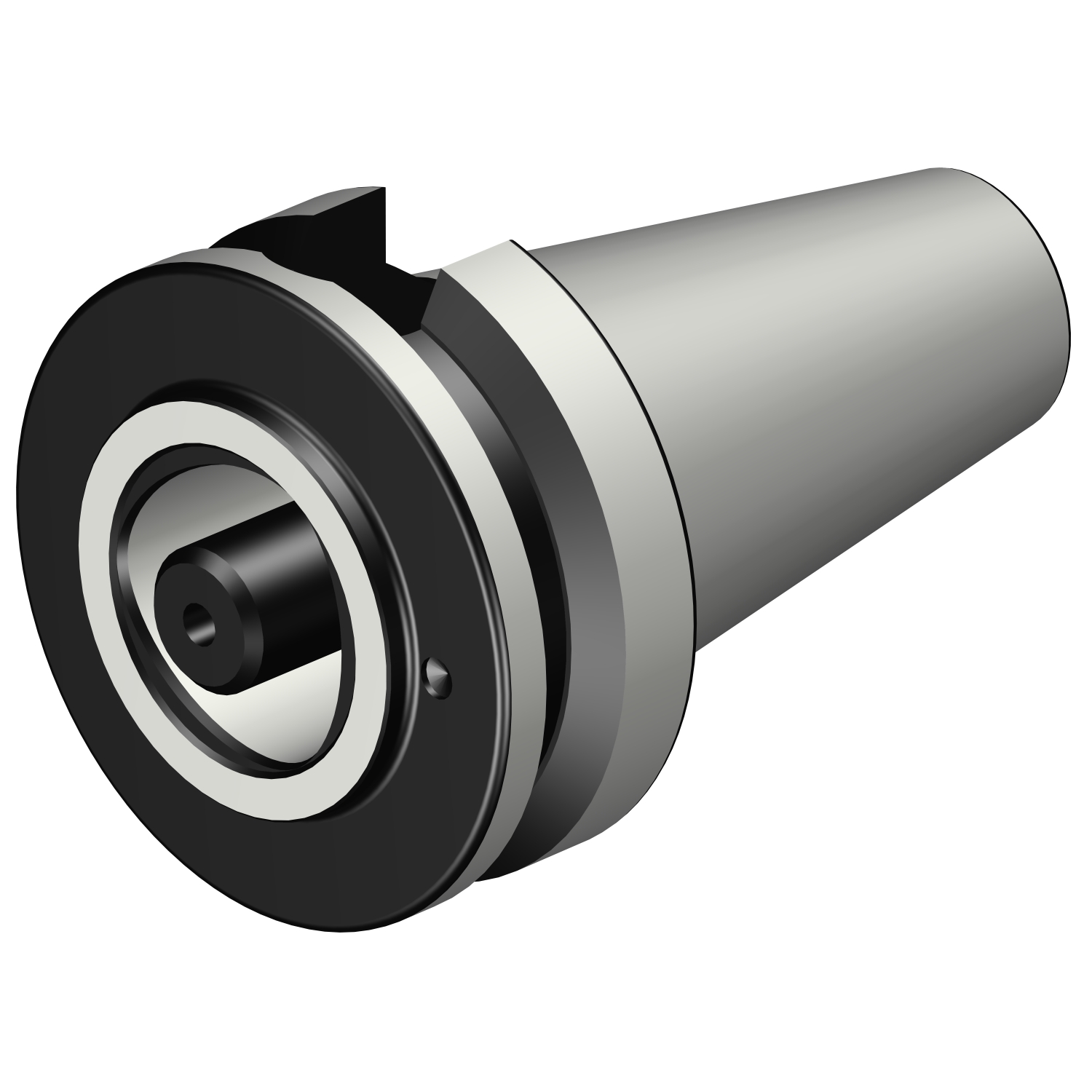 C4-390B.55-40 030 MAS-BT 403 to Coromant Capto® adaptor