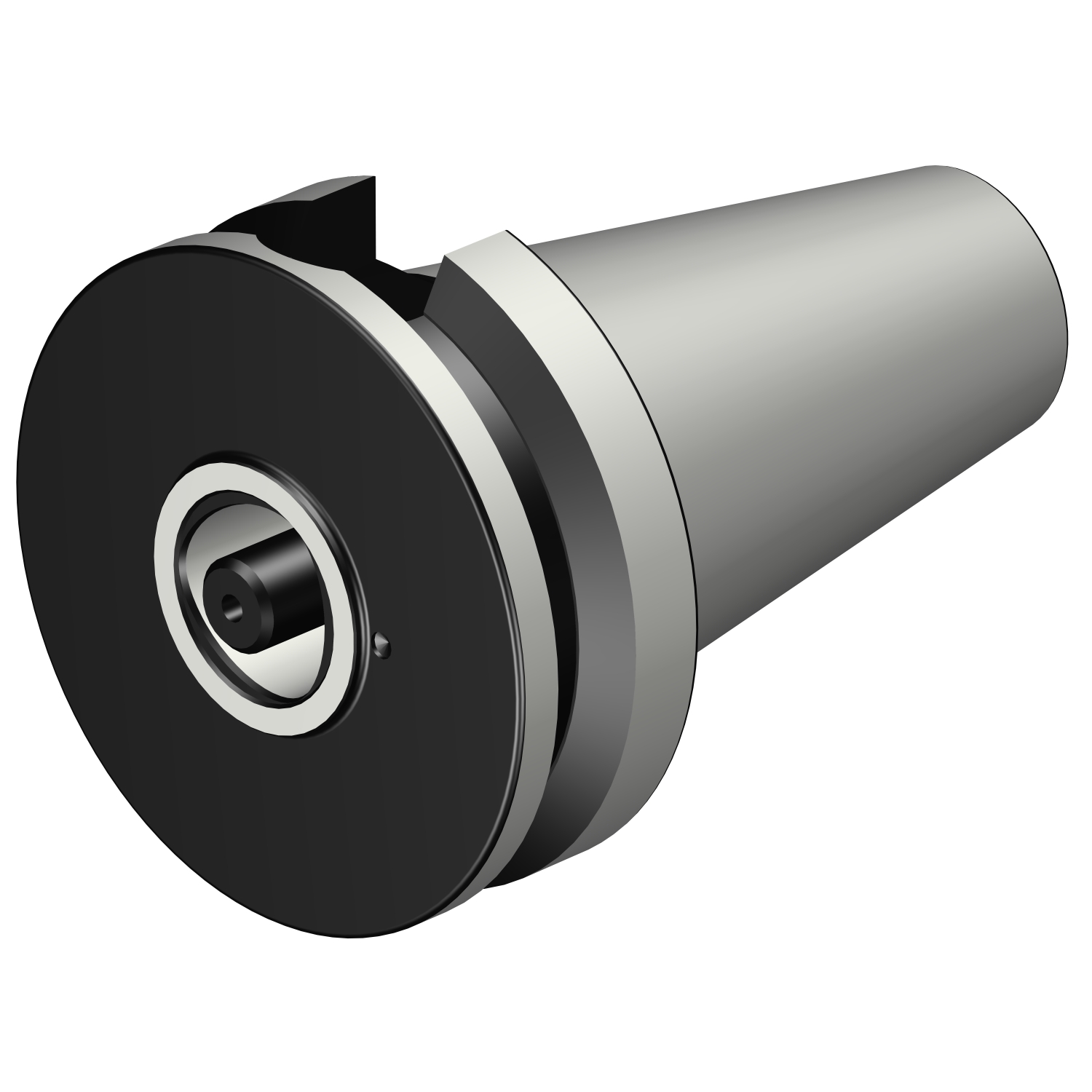 C4-390B.58-50 040 MAS-BT 403 to Coromant Capto® adaptor