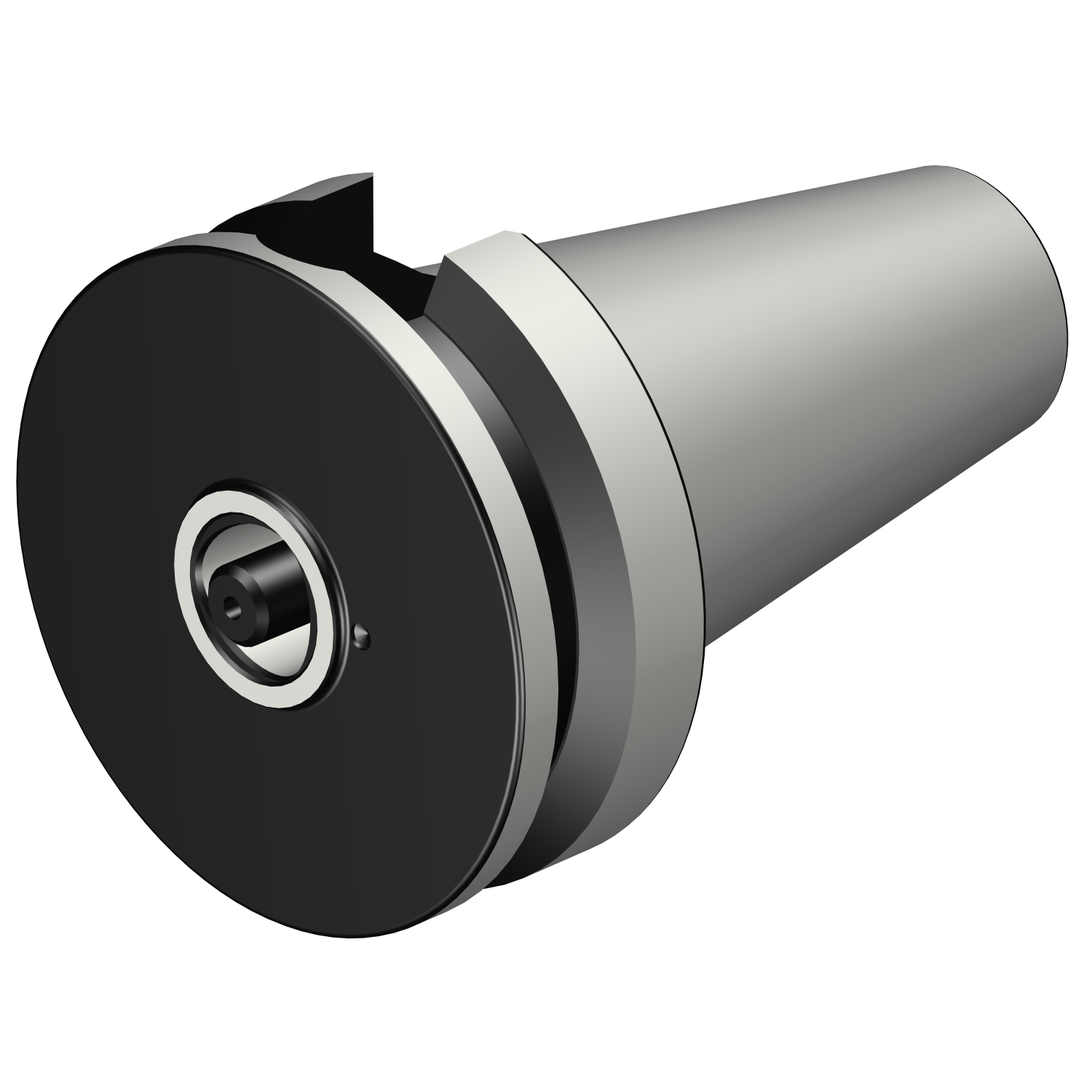 C3-390B.558-50 040 BIG-PLUS MAS-BT to Coromant Capto® adaptor