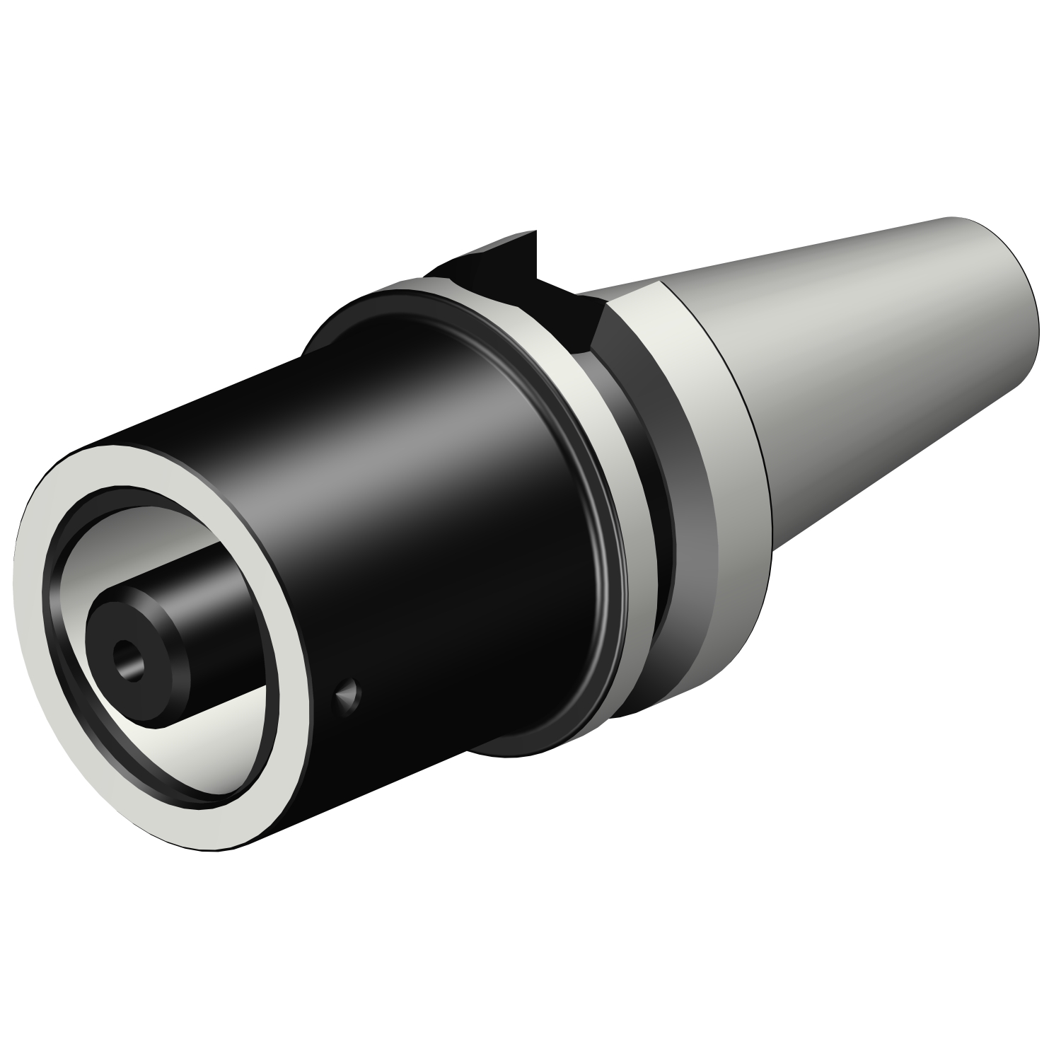 C4-390.55-30 060 MAS-BT 403 to Coromant Capto® adaptor