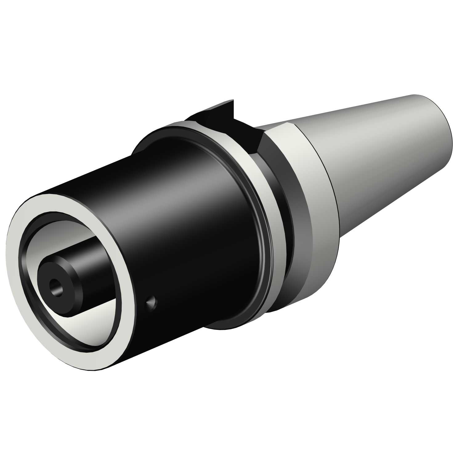 C4-390.555-30 060 BIG-PLUS MAS-BT to Coromant Capto® adaptor