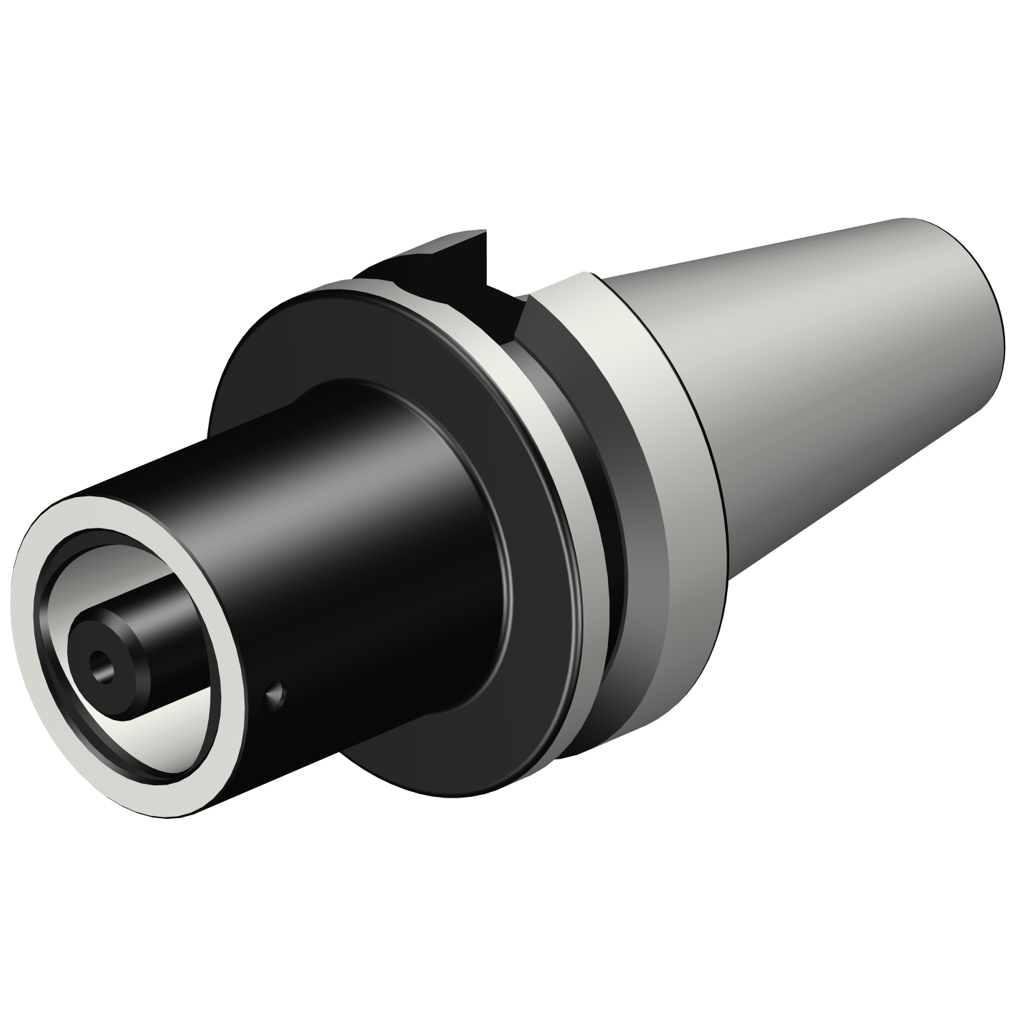 C4-390B.555-40 070 BIG-PLUS MAS-BT to Coromant Capto® adaptor