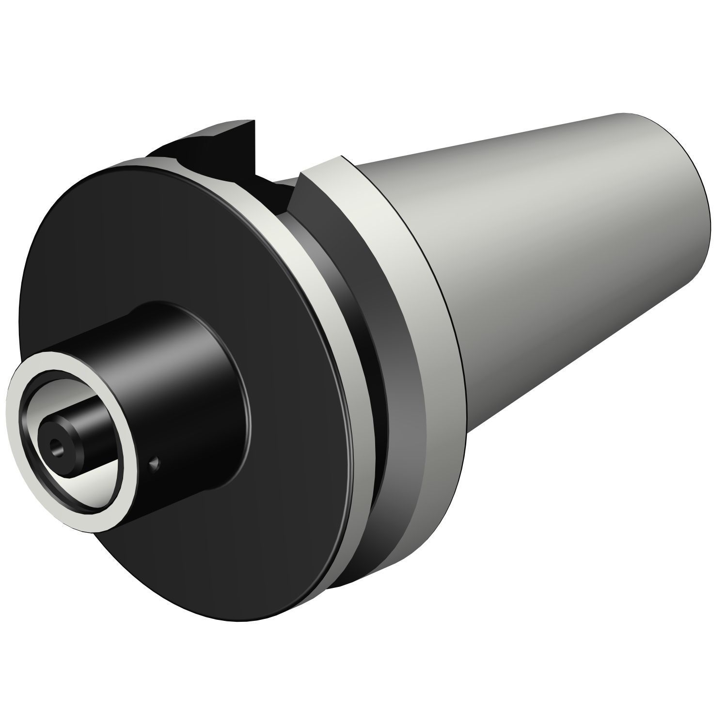 C4-390B.58-50 070 MAS-BT 403 to Coromant Capto® adaptor