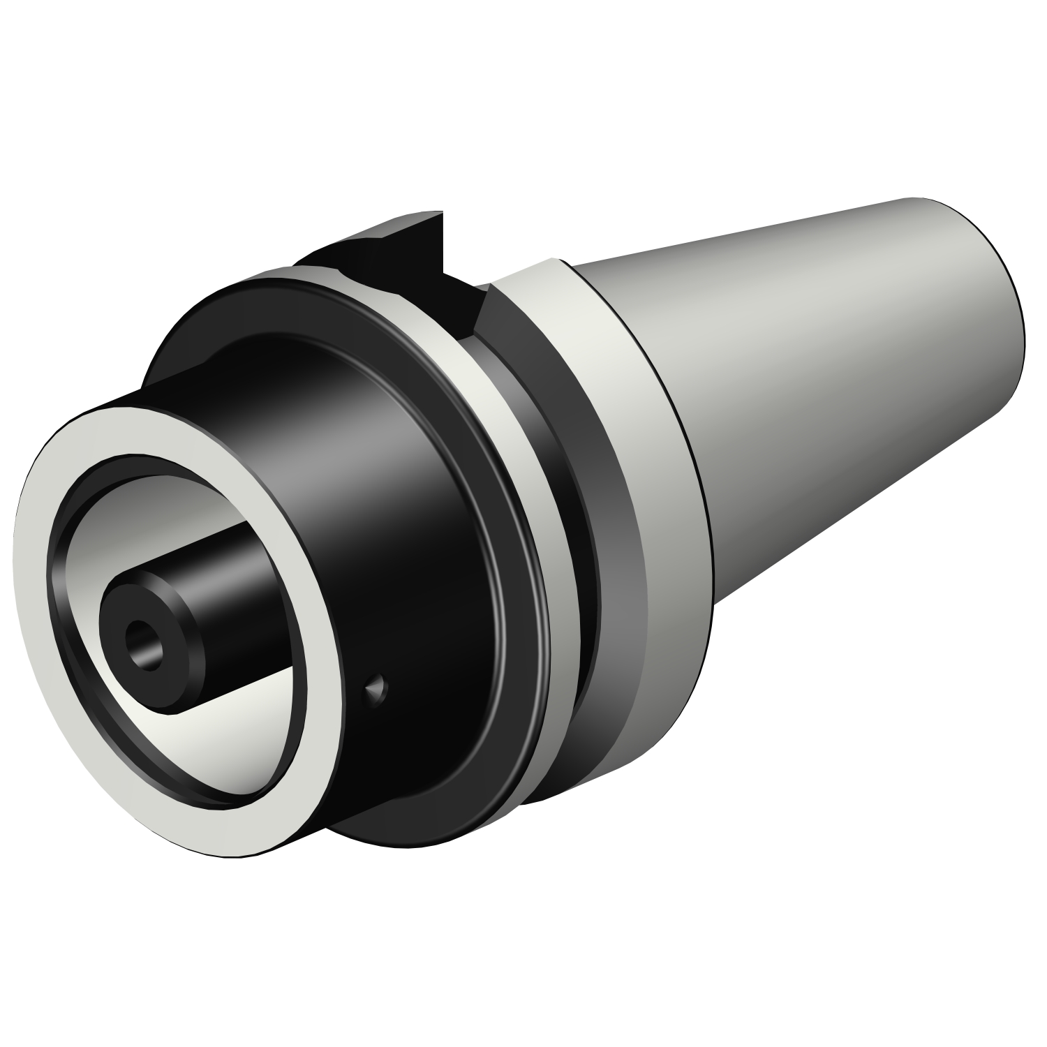 C5-390B.555-40 050 BIG-PLUS MAS-BT to Coromant Capto® adaptor