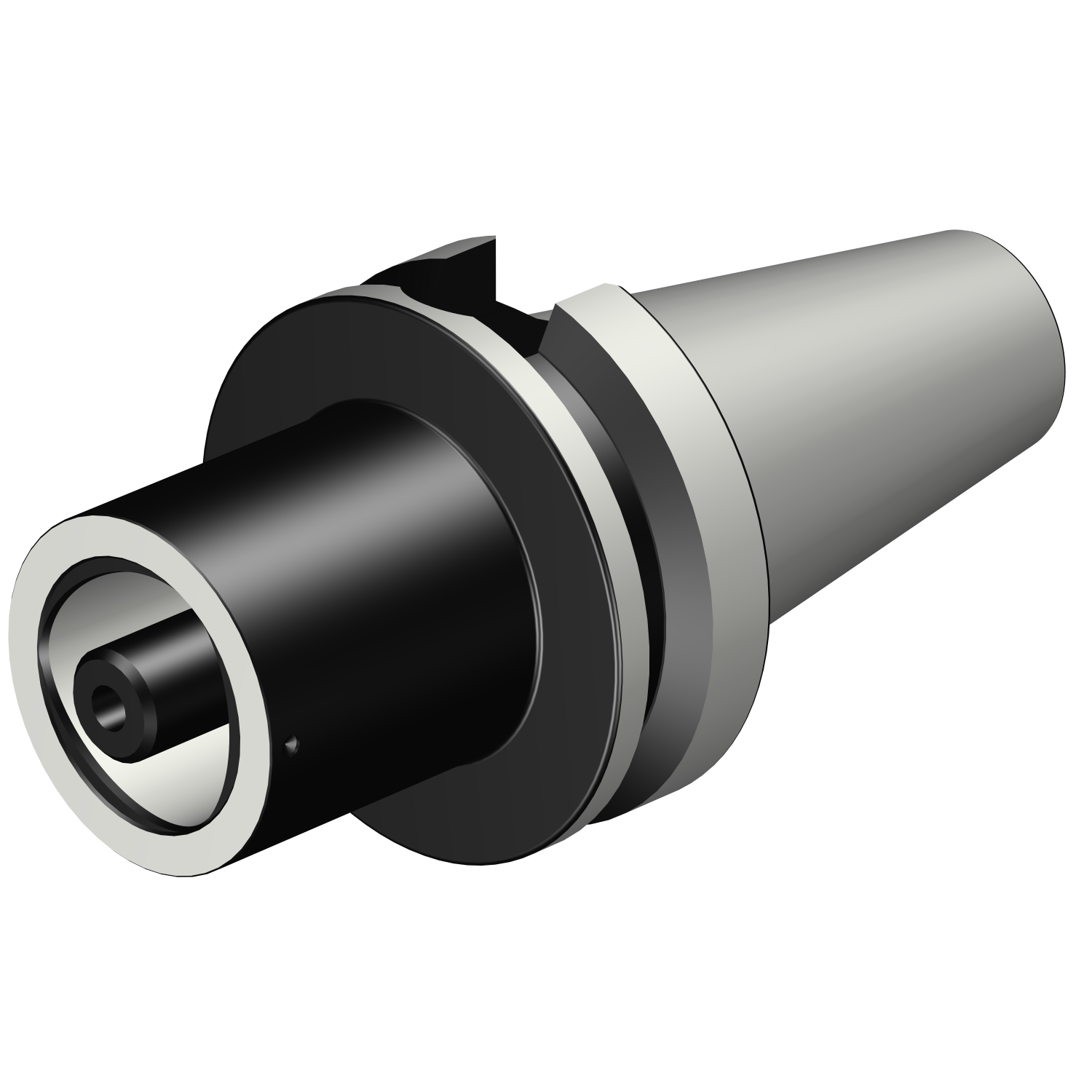 C6-390B.558-50 100 BIG-PLUS MAS-BT to Coromant Capto® adaptor