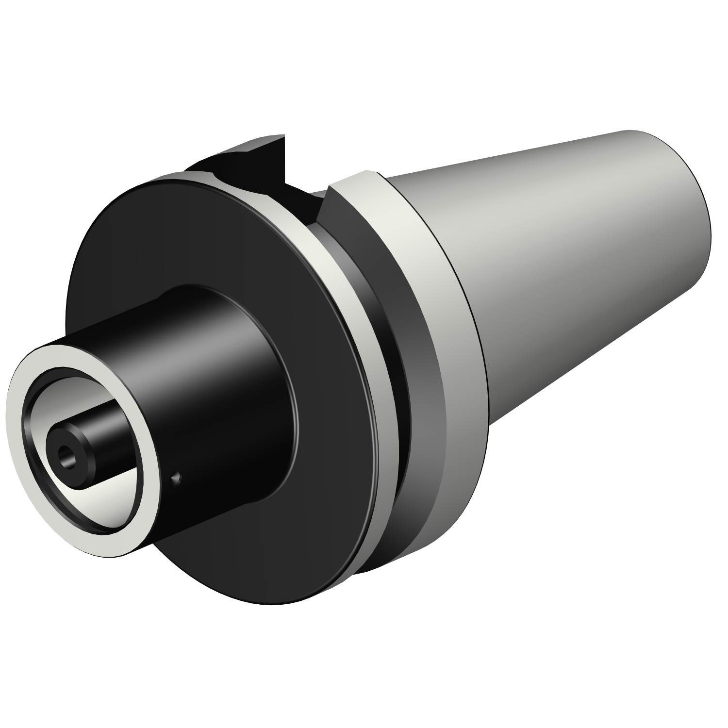 C5-390B.558-50 080 BIG-PLUS MAS-BT to Coromant Capto® adaptor