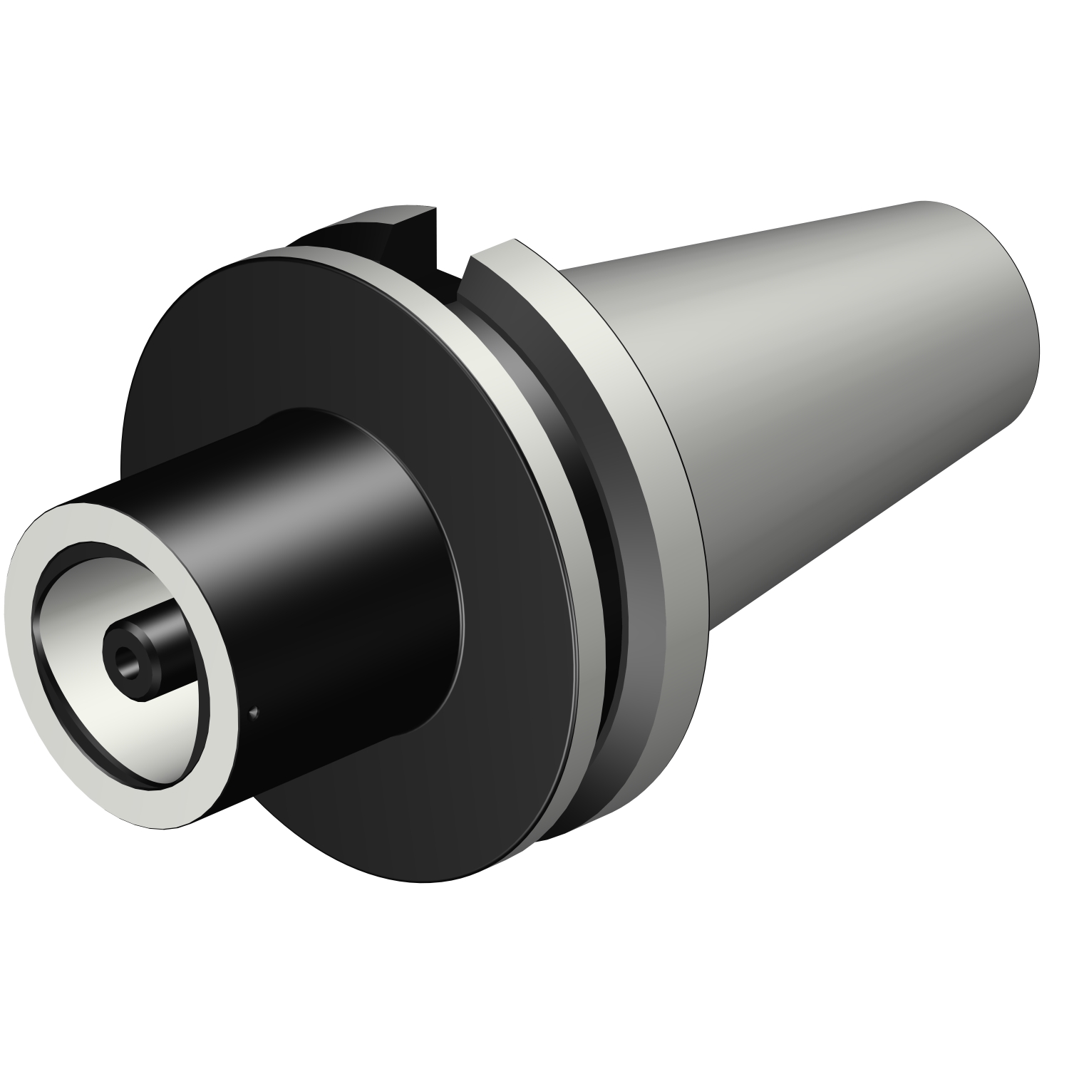 C8-390.58-60 120 MAS-BT 403 to Coromant Capto® adaptor