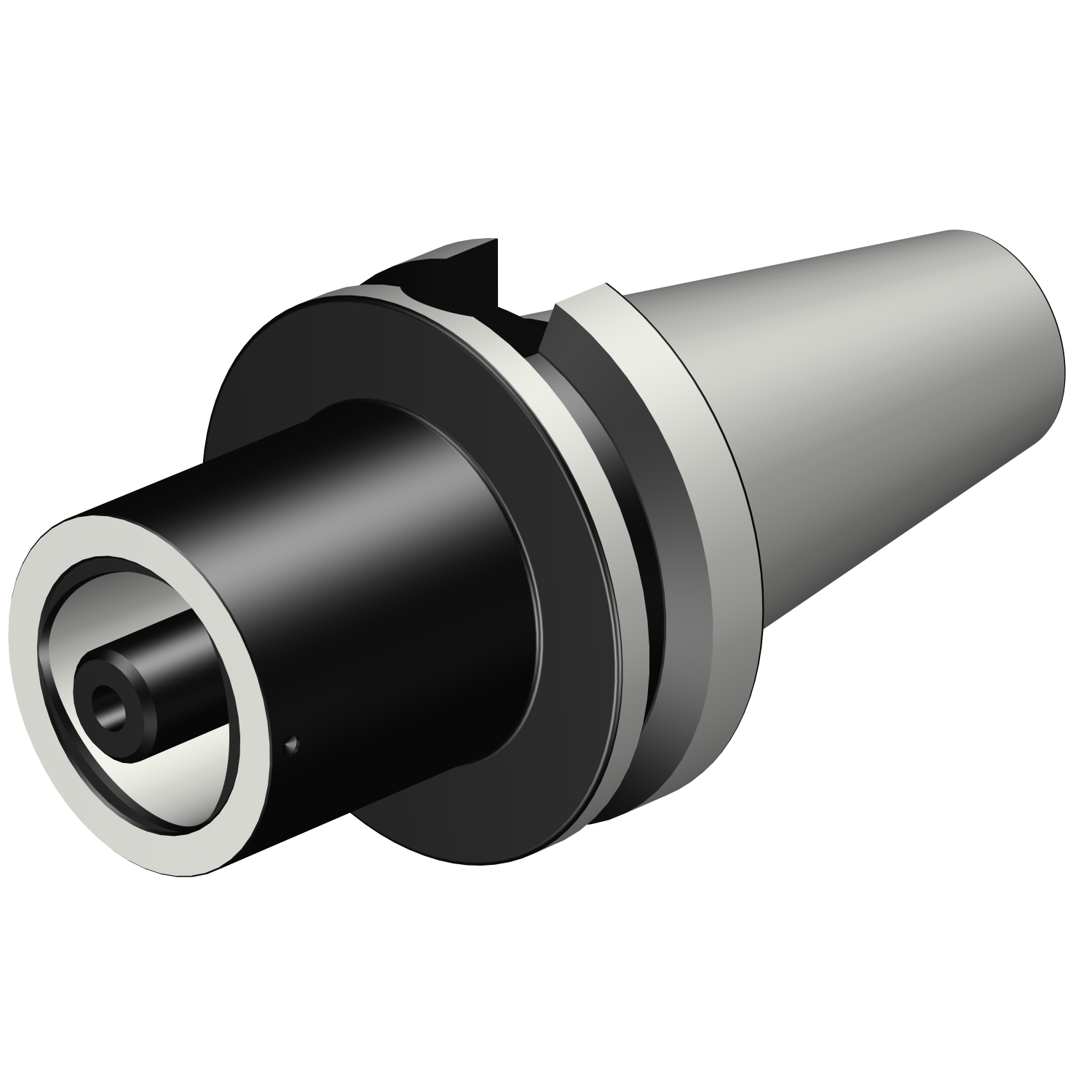 C6-390B.58-50 100 MAS-BT 403 to Coromant Capto® adaptor