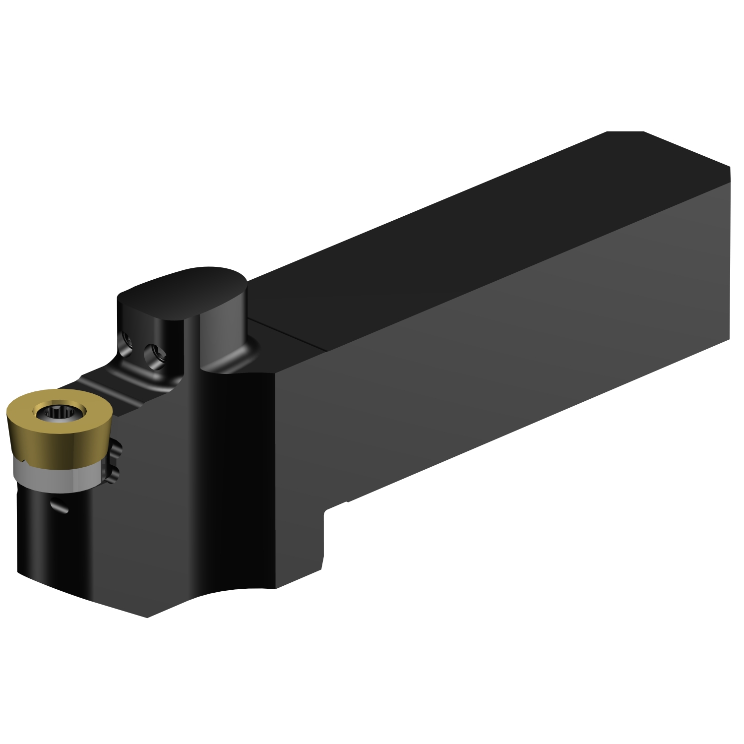 QS-SRDCN-202025-12XC  CoroTurn® 107 QS shank tool for turning