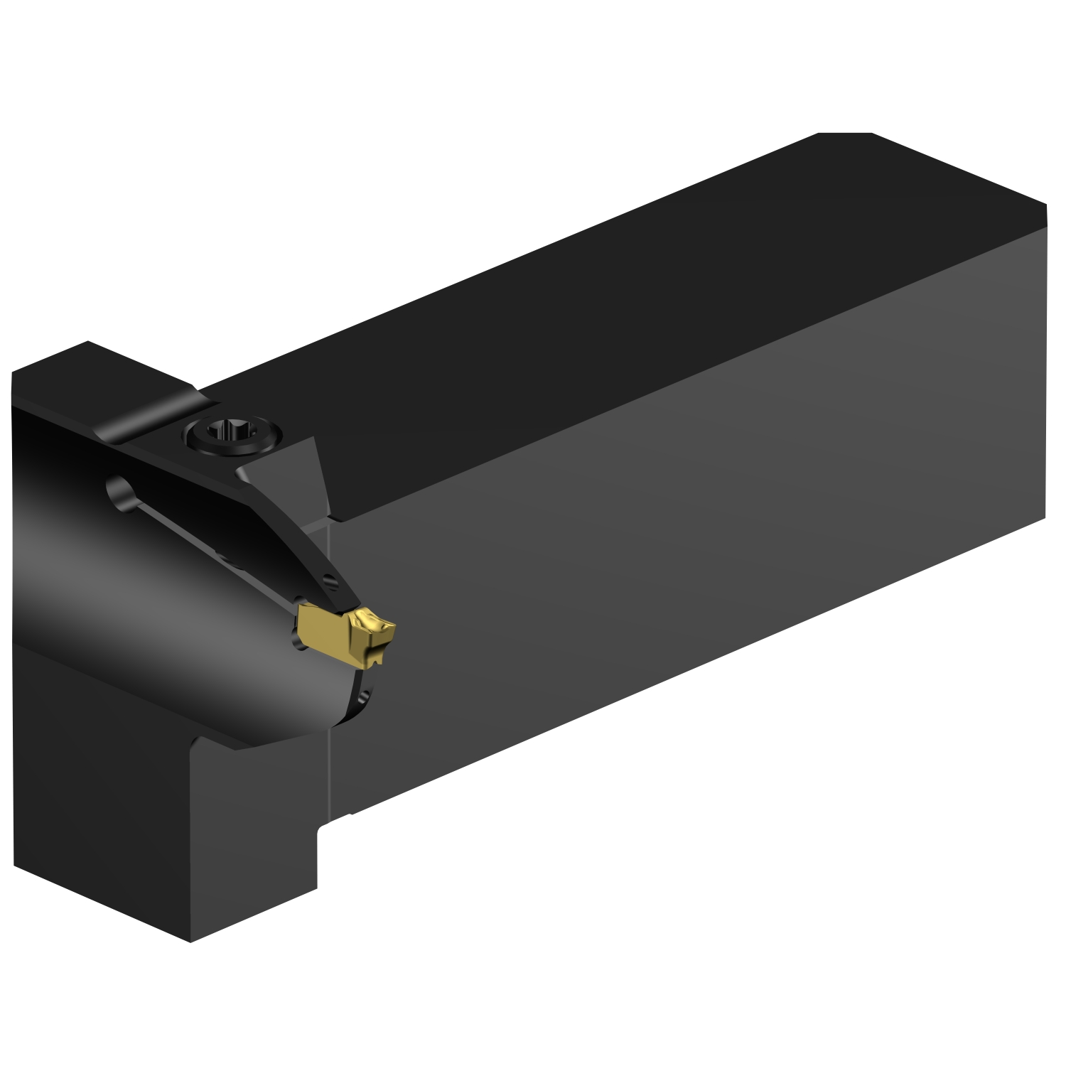 QS-QI-RGG15C16-024B CoroCut® QI shank tool for face grooving