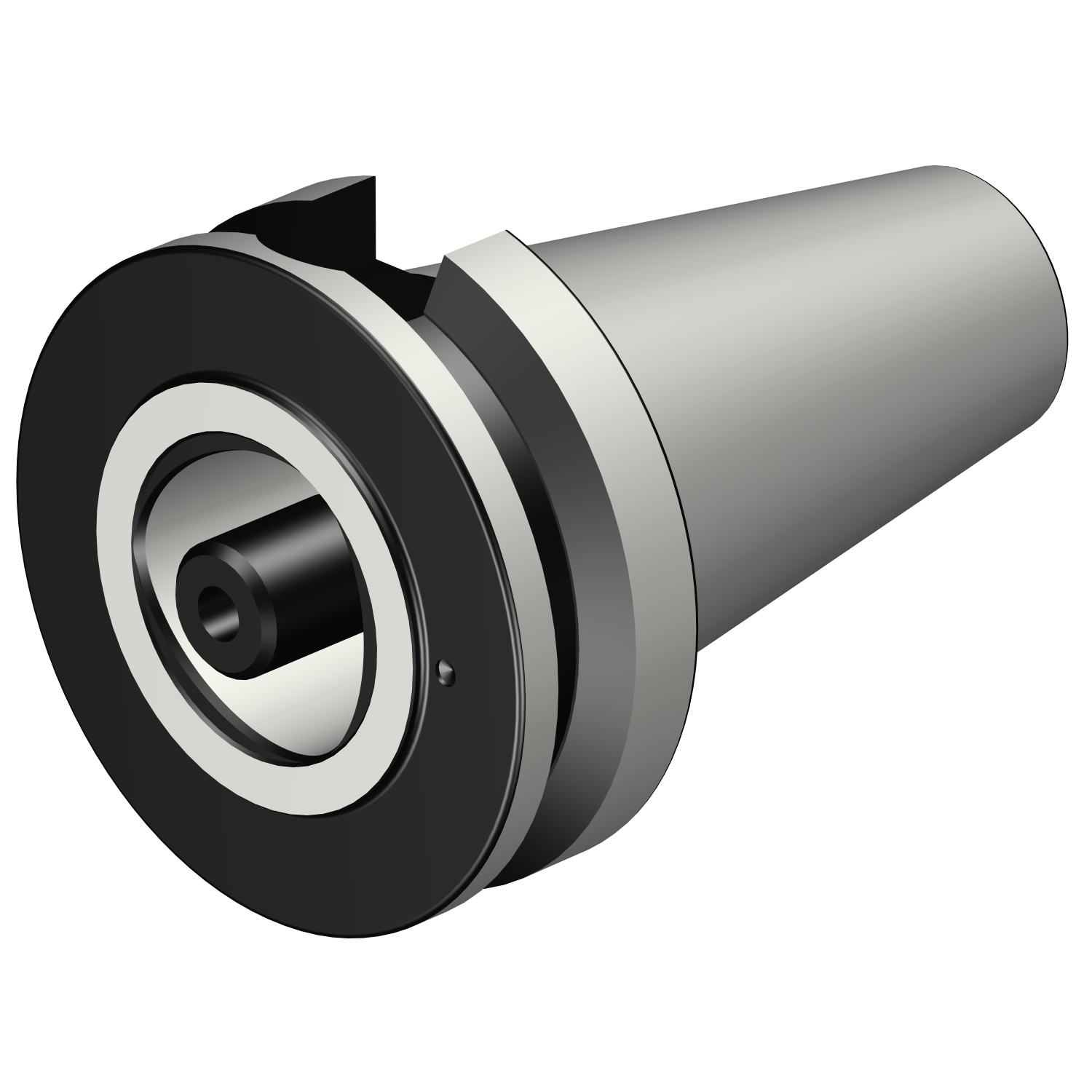 C6-390.58-50 040 MAS-BT 403 to Coromant Capto® adaptor