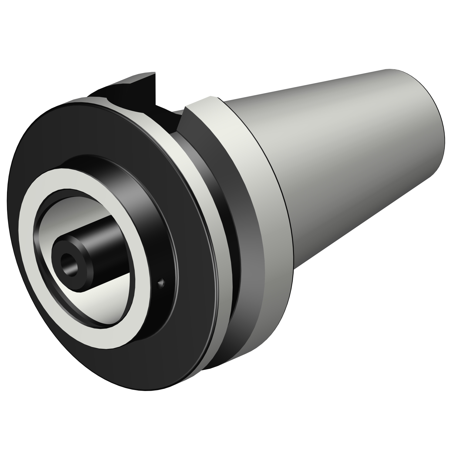 C6-390.558-50 050 BIG-PLUS MAS-BT to Coromant Capto® adaptor