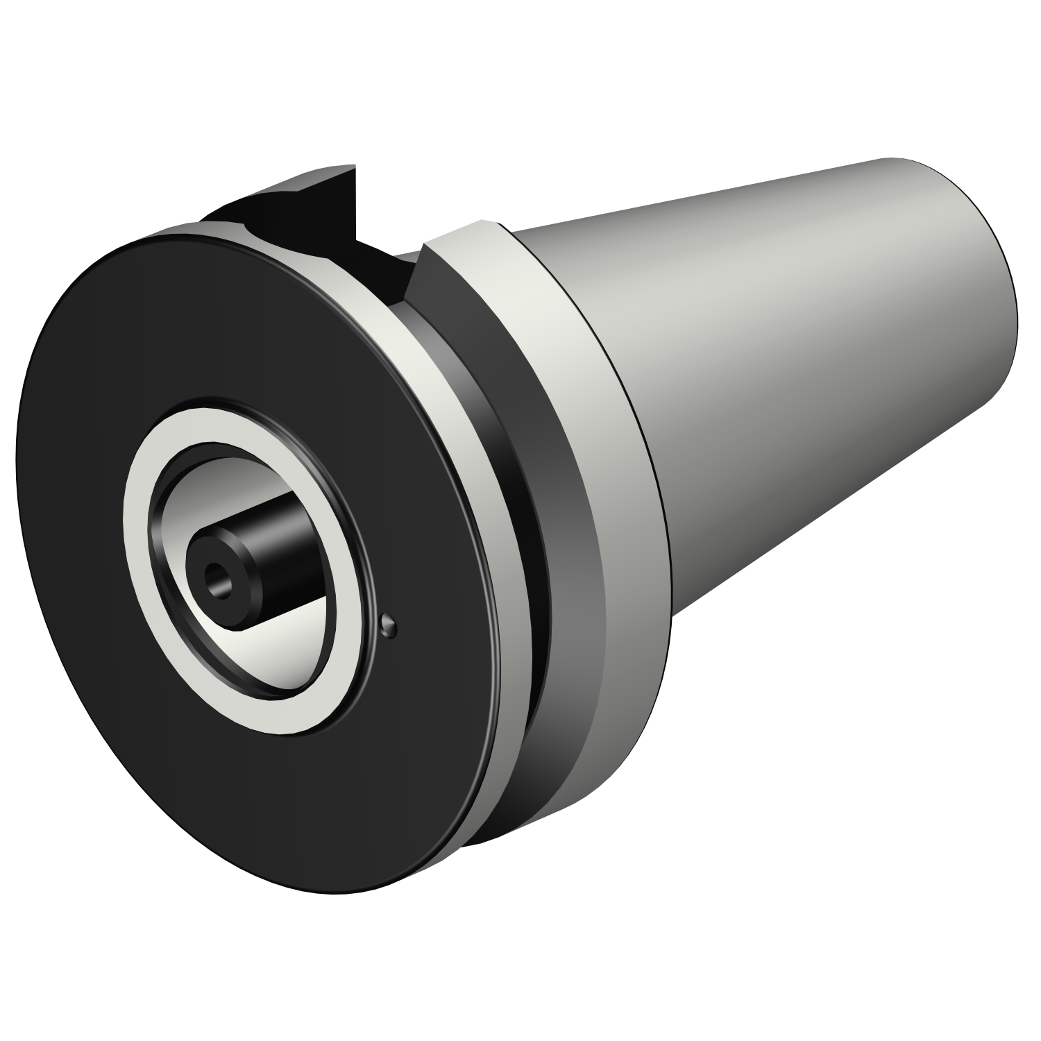 C5-390.558-50 040 BIG-PLUS MAS-BT to Coromant Capto® adaptor