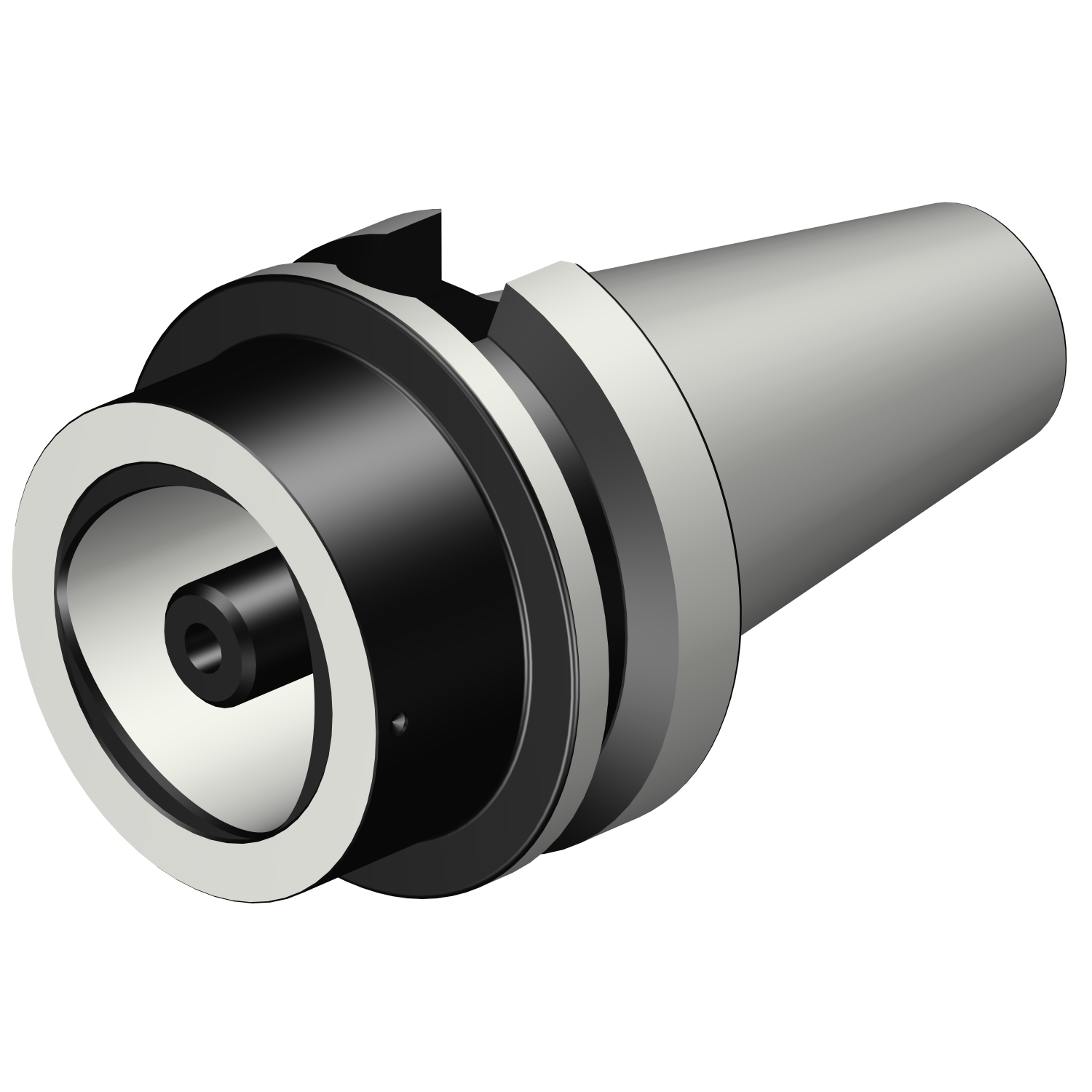 C8-390.558-50 070 BIG-PLUS MAS-BT to Coromant Capto® adaptor