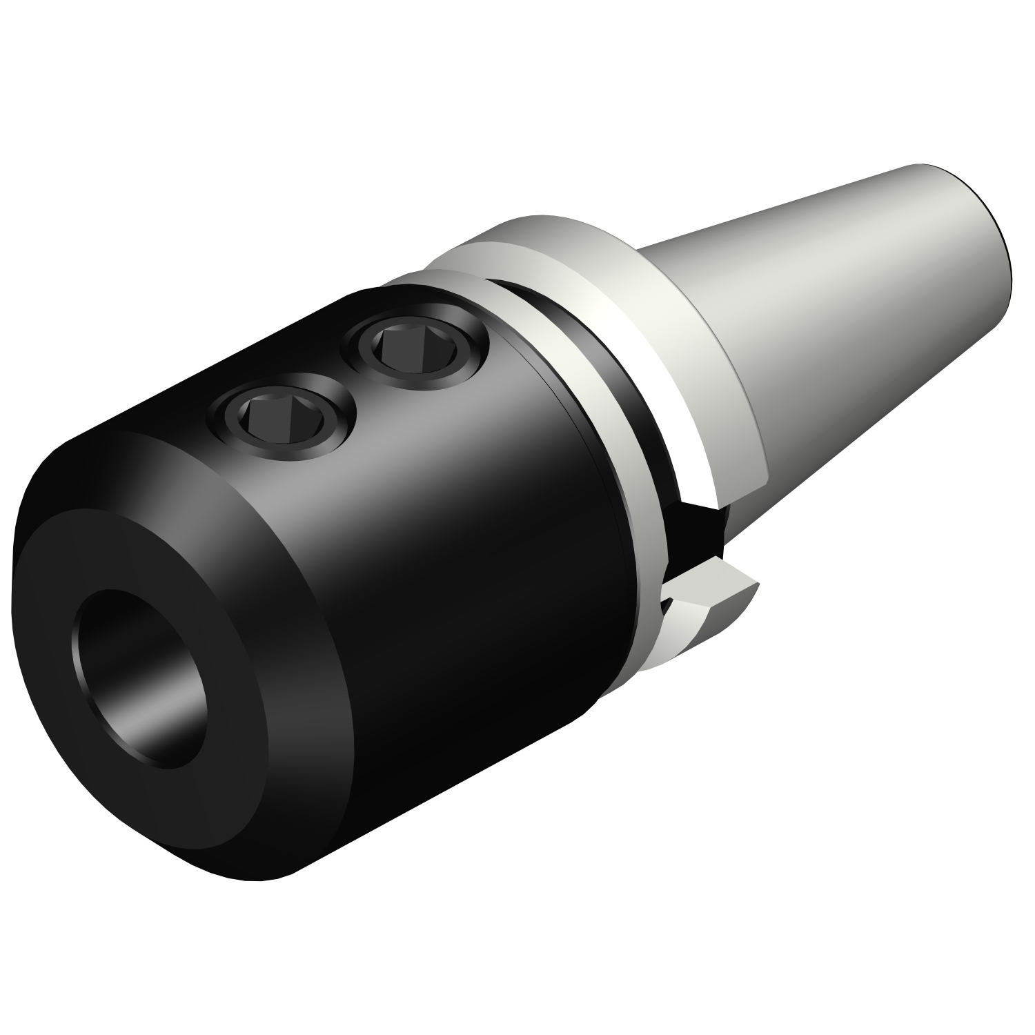 392.55523-4025090 BIG-PLUS MAS-BT to Weldon / ISO 9766 adaptor
