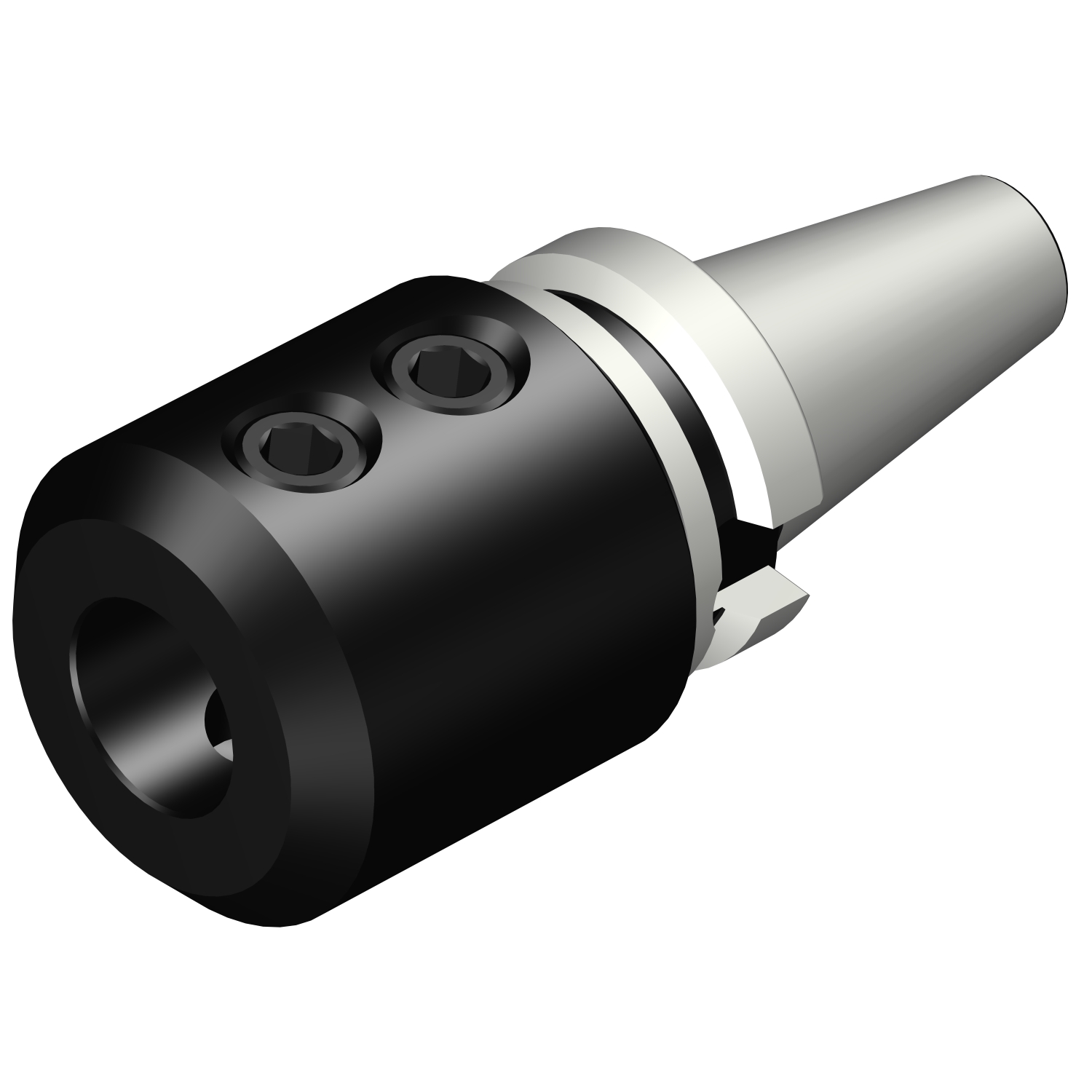 392.55523-4032100 BIG-PLUS MAS-BT to Weldon / ISO 9766 adaptor