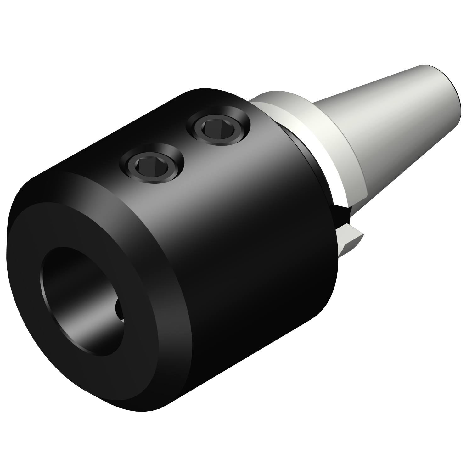 392.55523-4040110 BIG-PLUS MAS-BT to Weldon / ISO 9766 adaptor