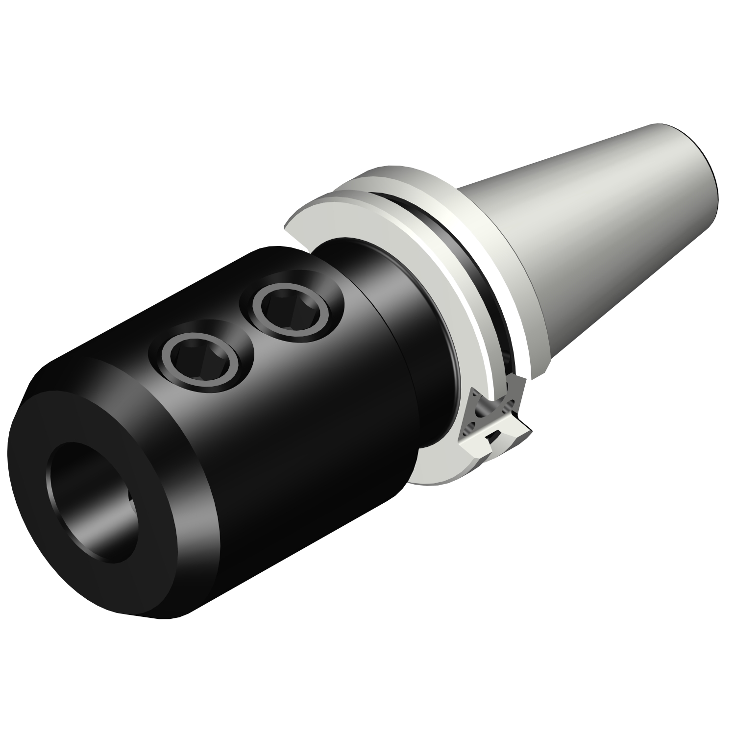 A392.54523-4025100 BIG-PLUS CAT-V to Weldon / ISO 9766 adaptor