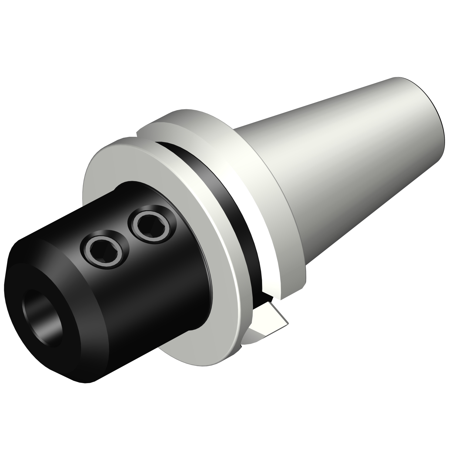 392.55823-5025100 BIG-PLUS MAS-BT to Weldon / ISO 9766 adaptor