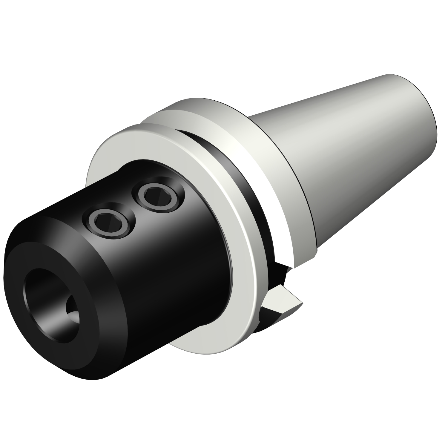 392.55823-5032105 BIG-PLUS MAS-BT to Weldon / ISO 9766 adaptor