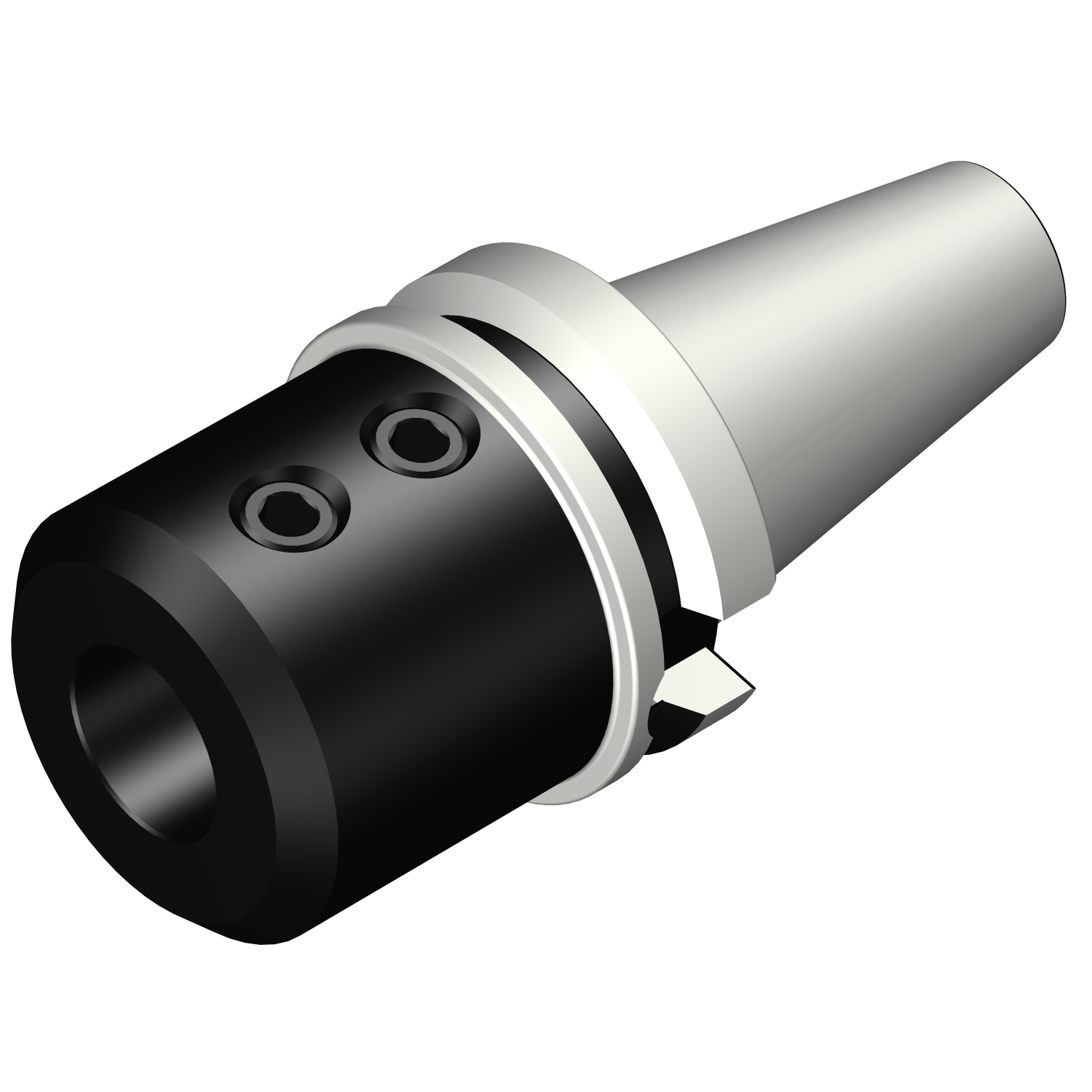 392.55823-5040115 BIG-PLUS MAS-BT to Weldon / ISO 9766 adaptor