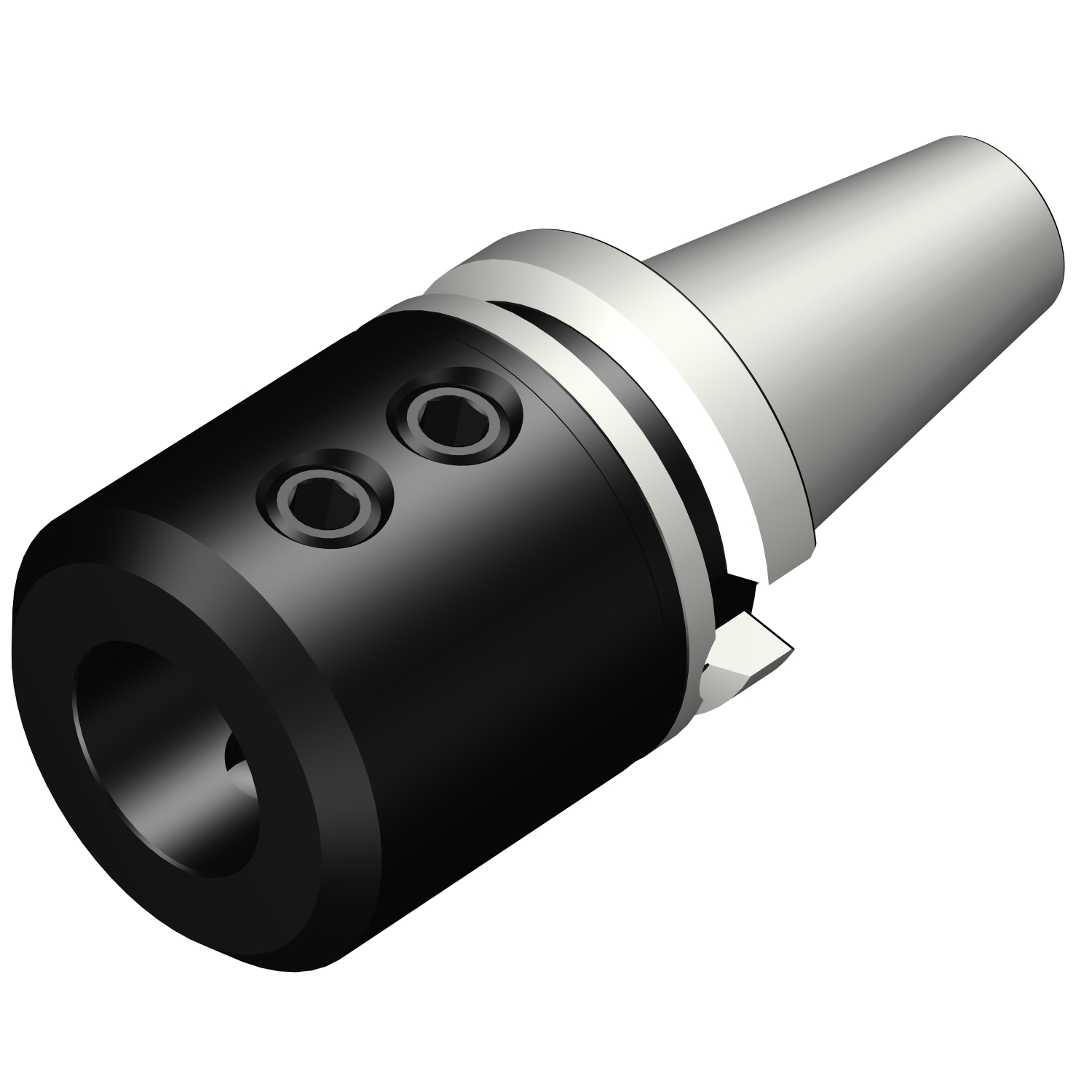 392.55823-5050130 BIG-PLUS MAS-BT to Weldon / ISO 9766 adaptor