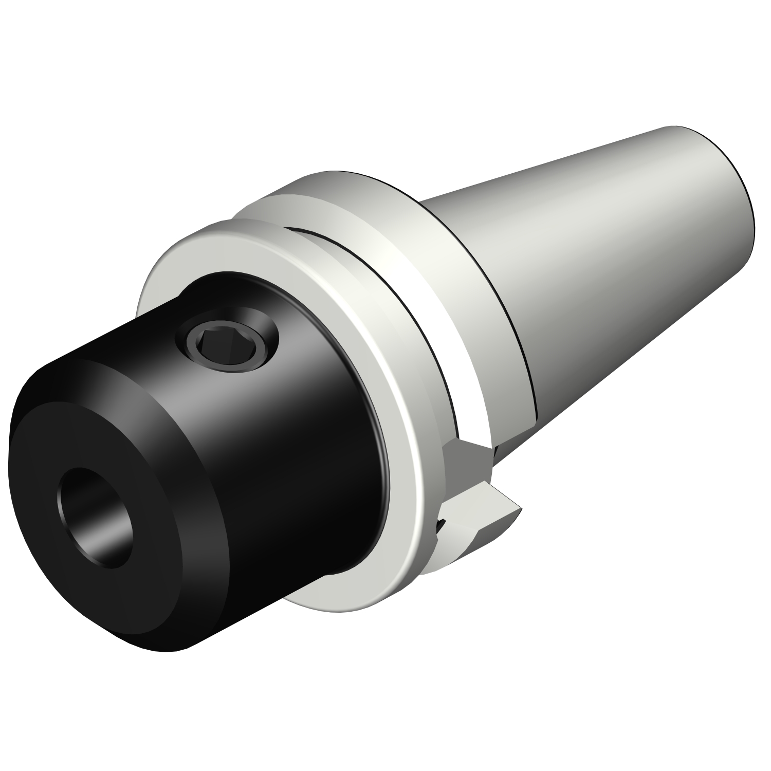 392.55523-4016065 BIG-PLUS MAS-BT to Weldon / ISO 9766 adaptor