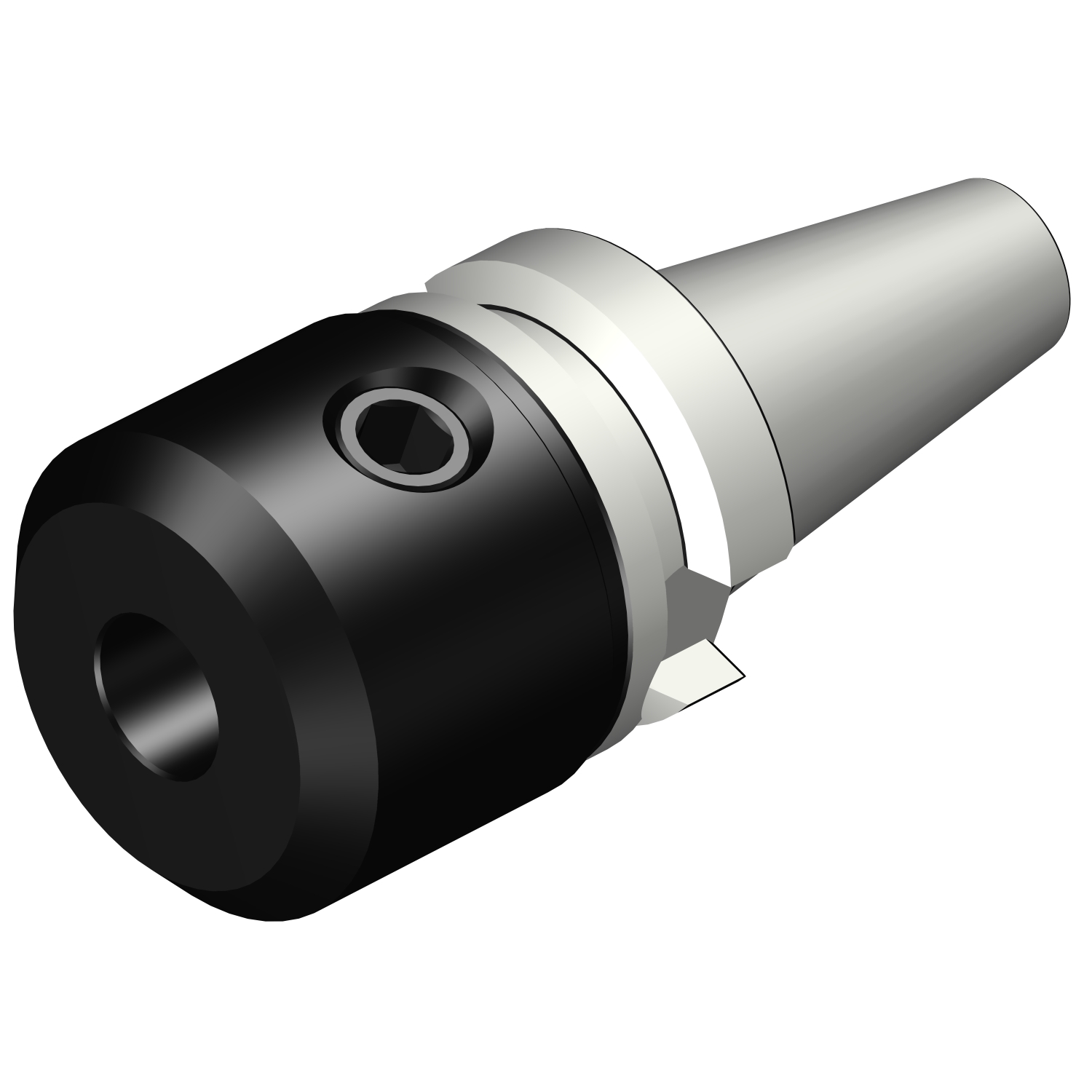 392.55523-3016060 BIG-PLUS MAS-BT to Weldon / ISO 9766 adaptor