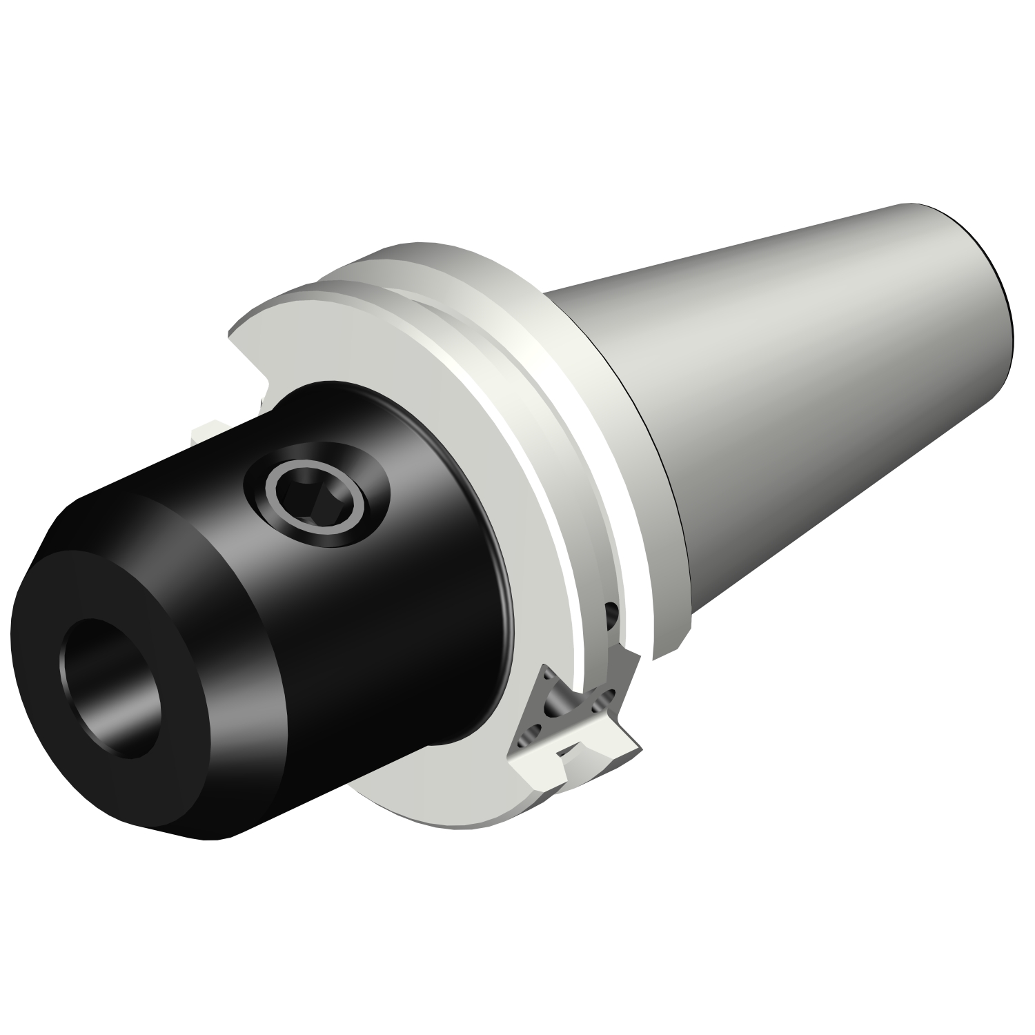 A392.54523-4015060 BIG-PLUS CAT-V to Weldon / ISO 9766 adaptor