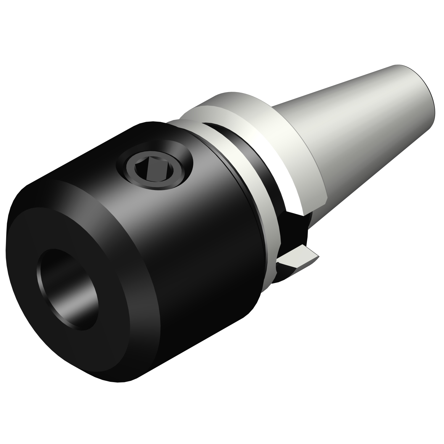 392.55523-3020065 BIG-PLUS MAS-BT to Weldon / ISO 9766 adaptor