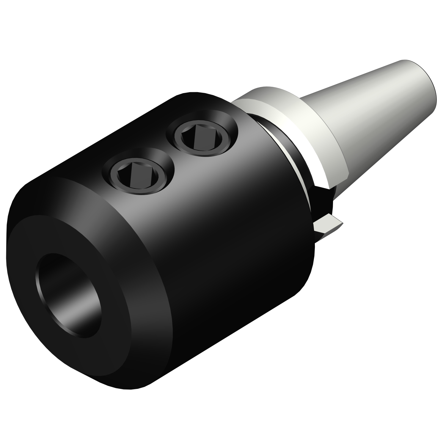 392.55523-3025090 BIG-PLUS MAS-BT to Weldon / ISO 9766 adaptor