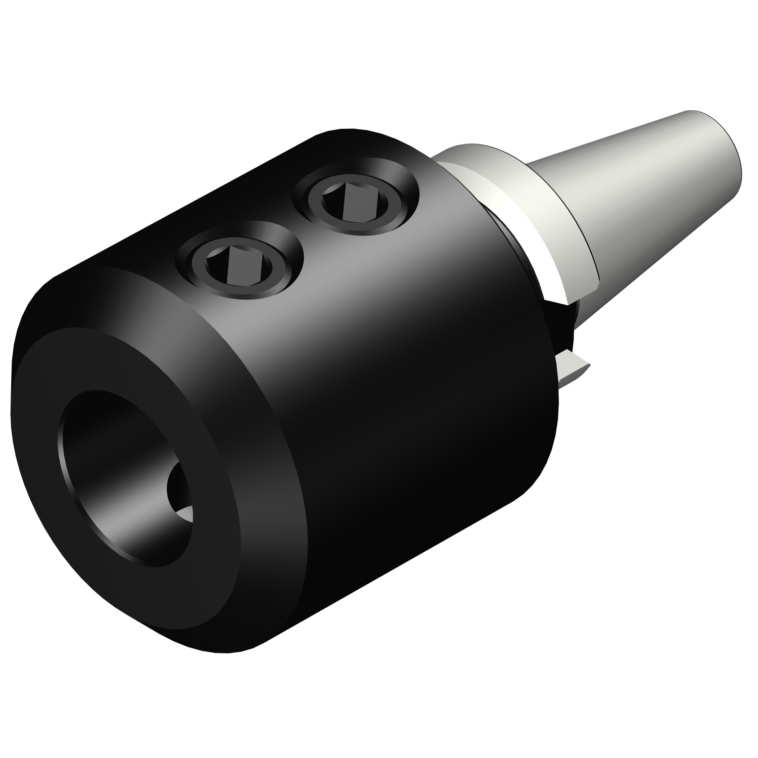 392.55523-3032095 BIG-PLUS MAS-BT to Weldon / ISO 9766 adaptor