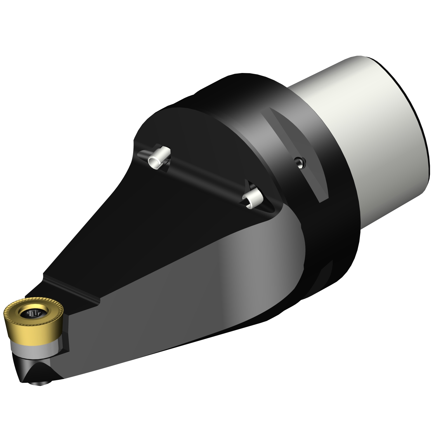 C6-SRDCN-00100-16  CoroTurn® 107 cutting unit for turning