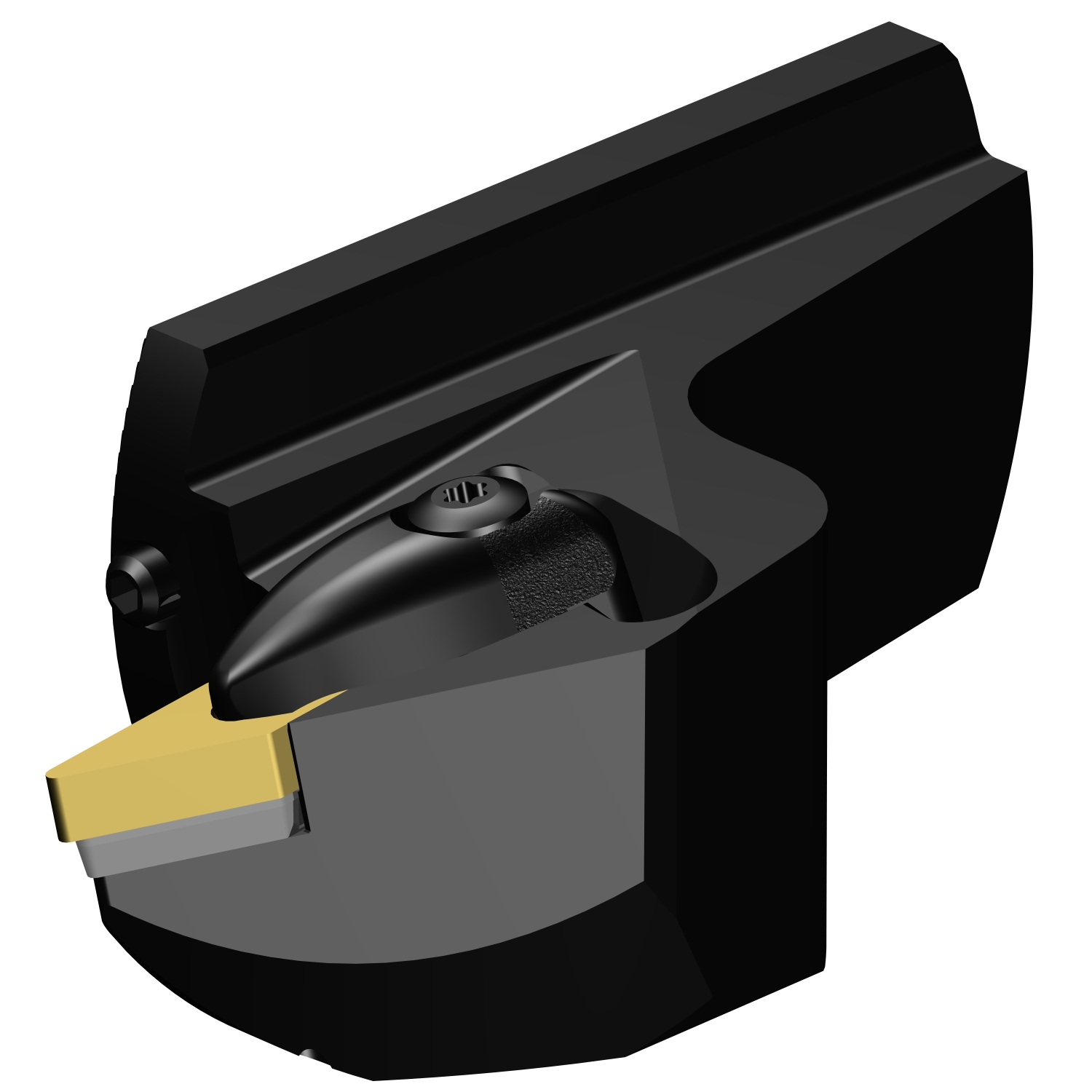 570-DVUNL-80-16X T-Max® P head for back boring