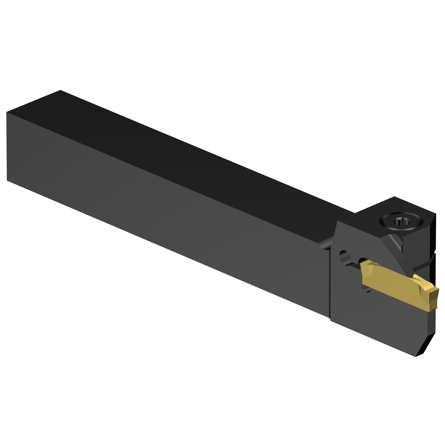 C2R-RS16-LG10DB           CoroCut® 2 shank tool for parting and grooving