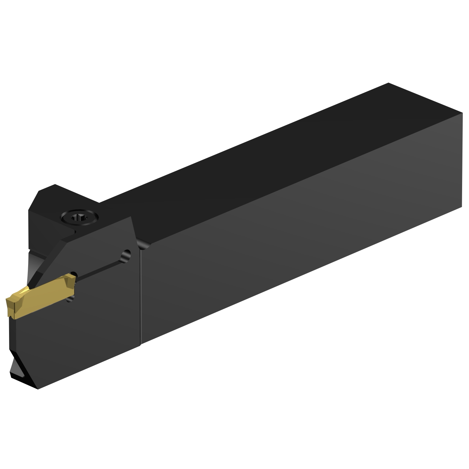 C2R-RS25-RG22DD           CoroCut® 2 shank tool for parting and grooving