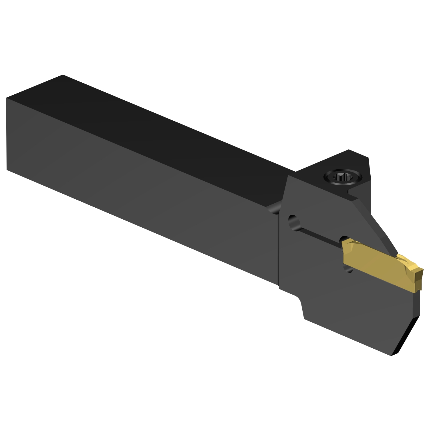 C2R-RSA10-LF20DB          CoroCut® 2 shank tool for parting and grooving