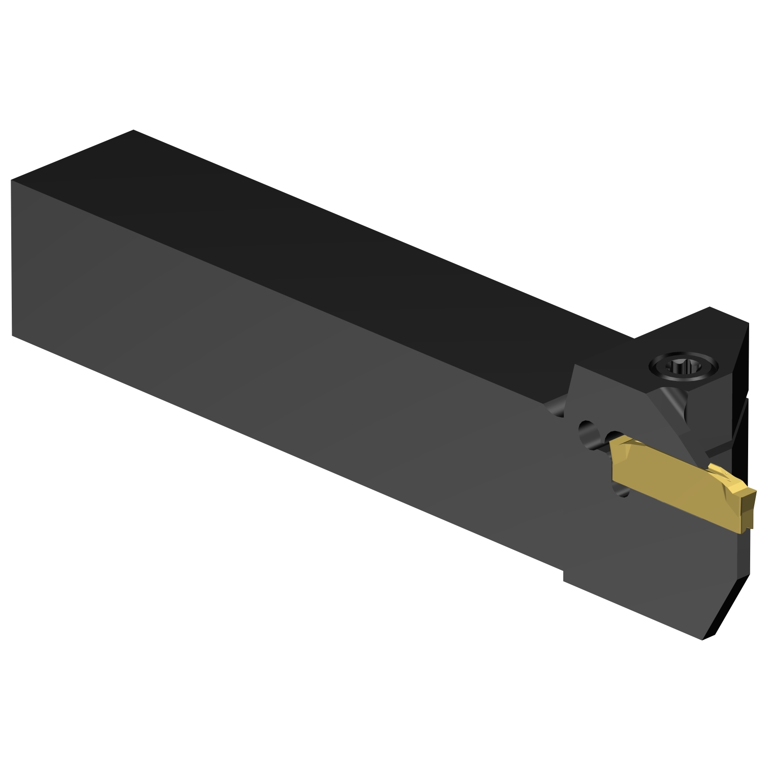 C2R-RSA12-LF10DB          CoroCut® 2 shank tool for parting and grooving
