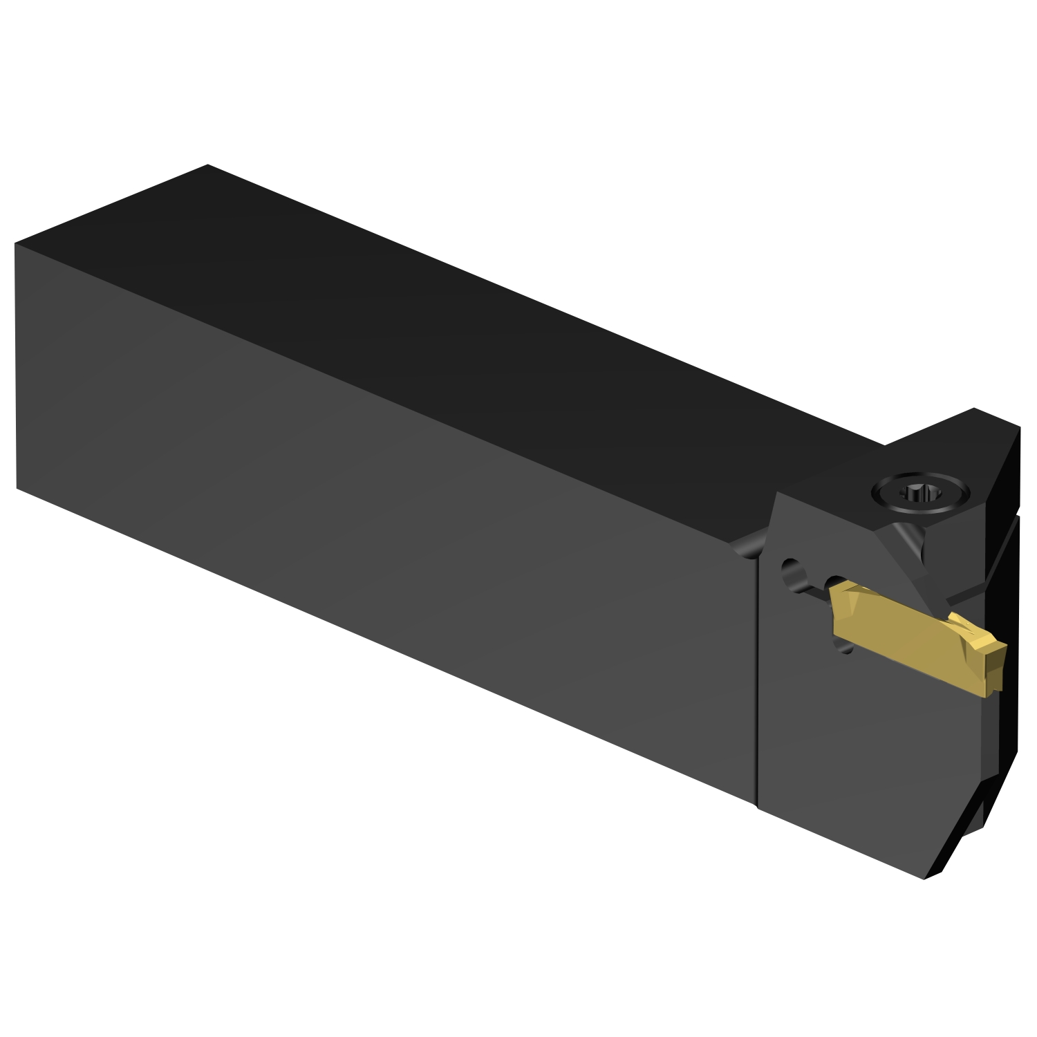 C2R-RSA16-LG10DB          CoroCut® 2 shank tool for parting and grooving