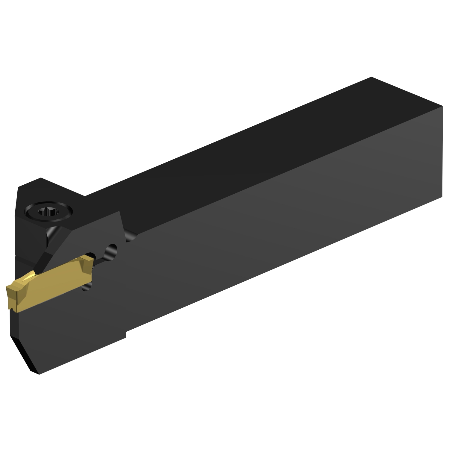 C2R-RSA12-RG10DB          CoroCut® 2 shank tool for parting and grooving