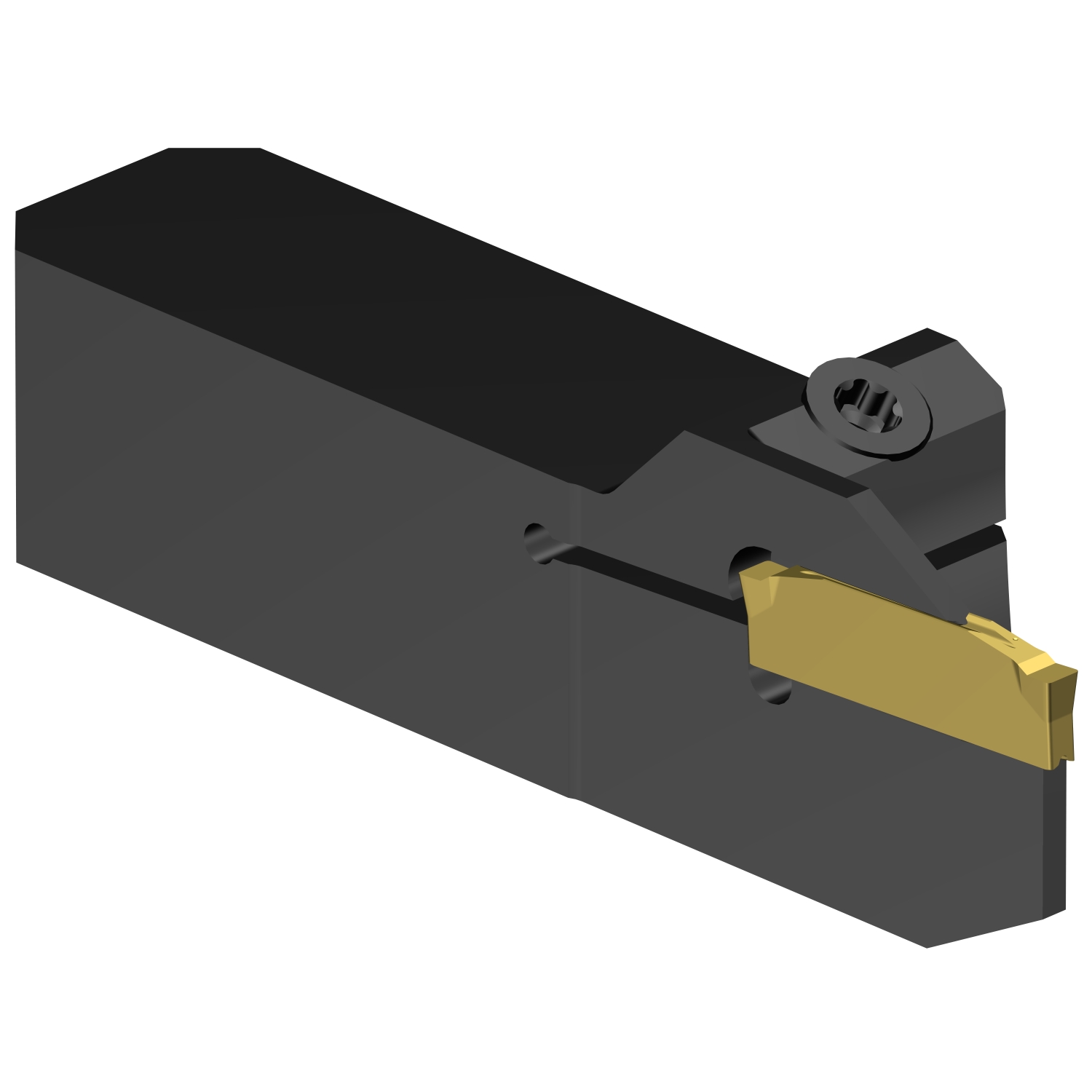 C2R-QS16-LE17DS           CoroCut® 2 QS shank tool for parting and grooving