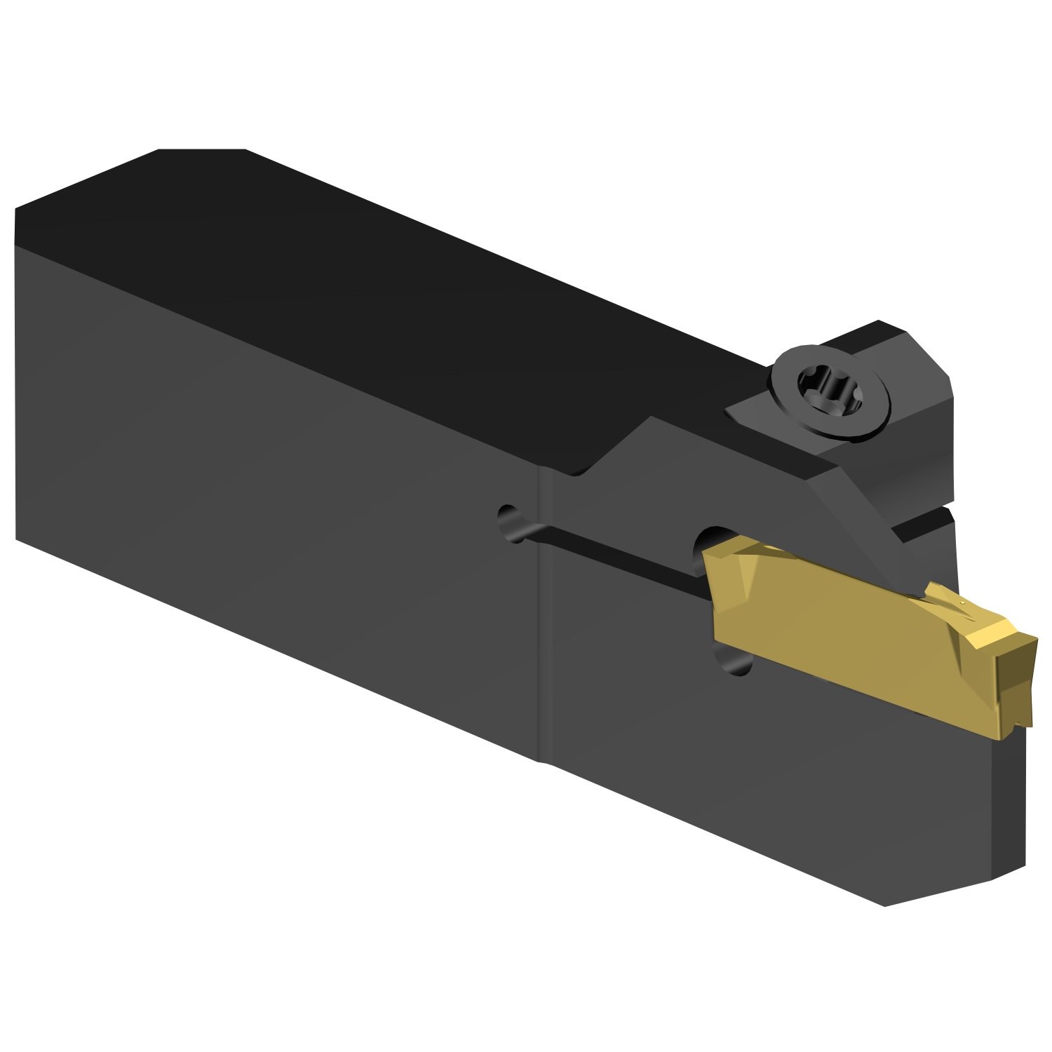 C2R-QSA10-LG17DS          CoroCut® 2 QS shank tool for parting and grooving